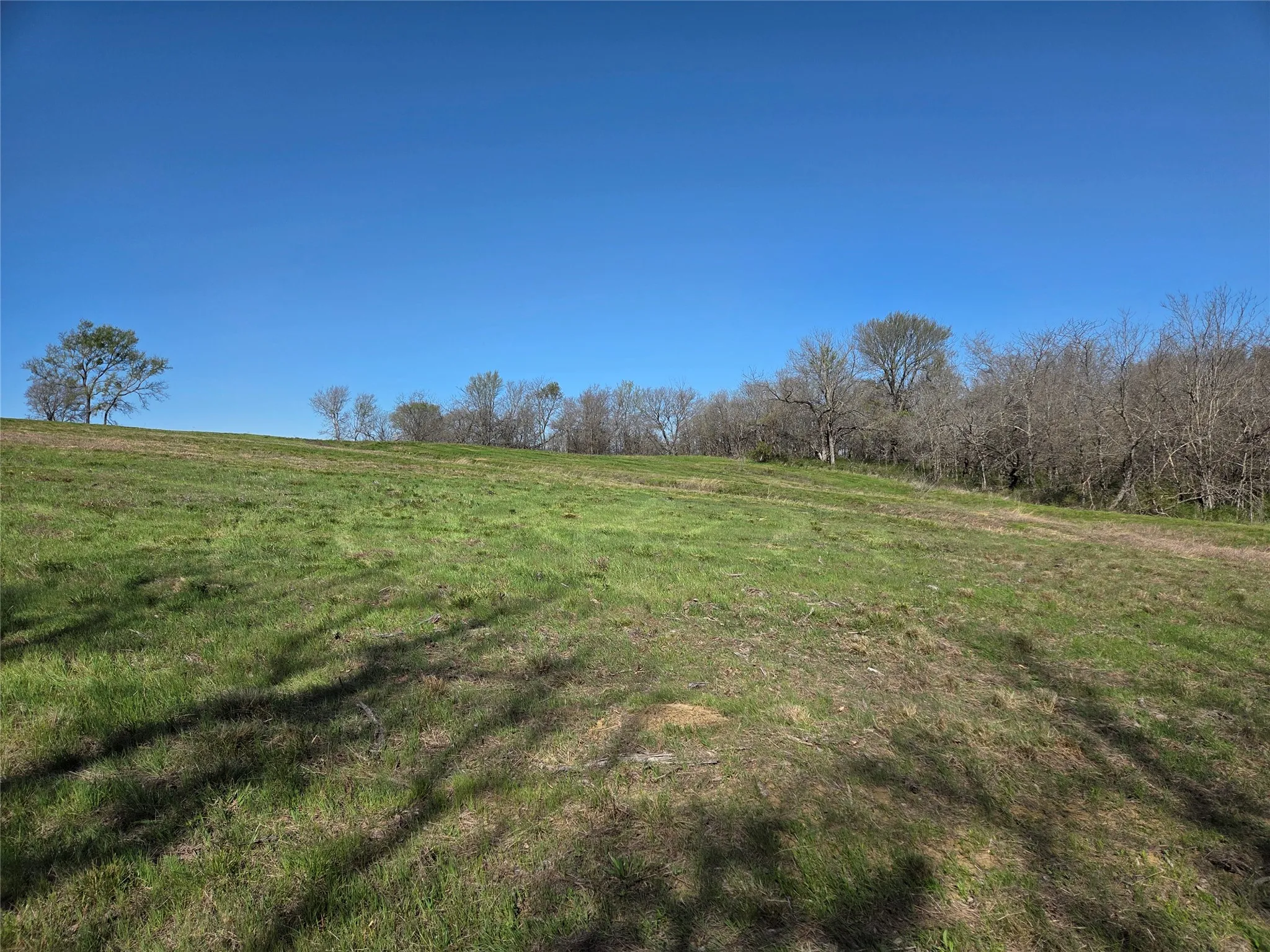 Unimproved Land For Sale in Navarro County , Lot 60 Sunset Court, Corsicana, Texas 75109, 0, 0, Garage spaces, 0 Sqft, built in 0, mls#21185400, Real Estate Agent in Corsicana, Homes For Sale in Navarro county, Homes For Sale in Corsicana, Realtor in Corsicana Texas, Real Estate Brokerage Independent Realty Texas, Luminita Cordes Realtor
