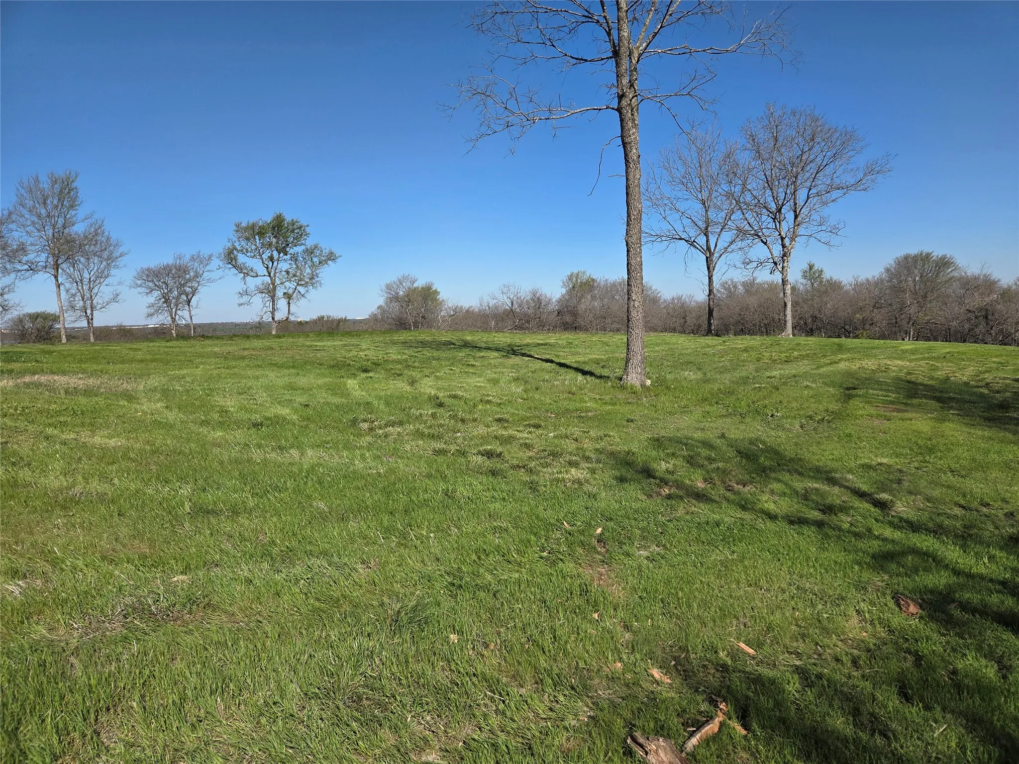 Unimproved Land For Sale in Navarro County , Lot 60 Sunset Court, Corsicana, Texas 75109, 0, 0, Garage spaces, 0 Sqft, built in 0, mls#21185400, Real Estate Agent in Corsicana, Homes For Sale in Navarro county, Homes For Sale in Corsicana, Realtor in Corsicana Texas, Real Estate Brokerage Independent Realty Texas, Luminita Cordes Realtor