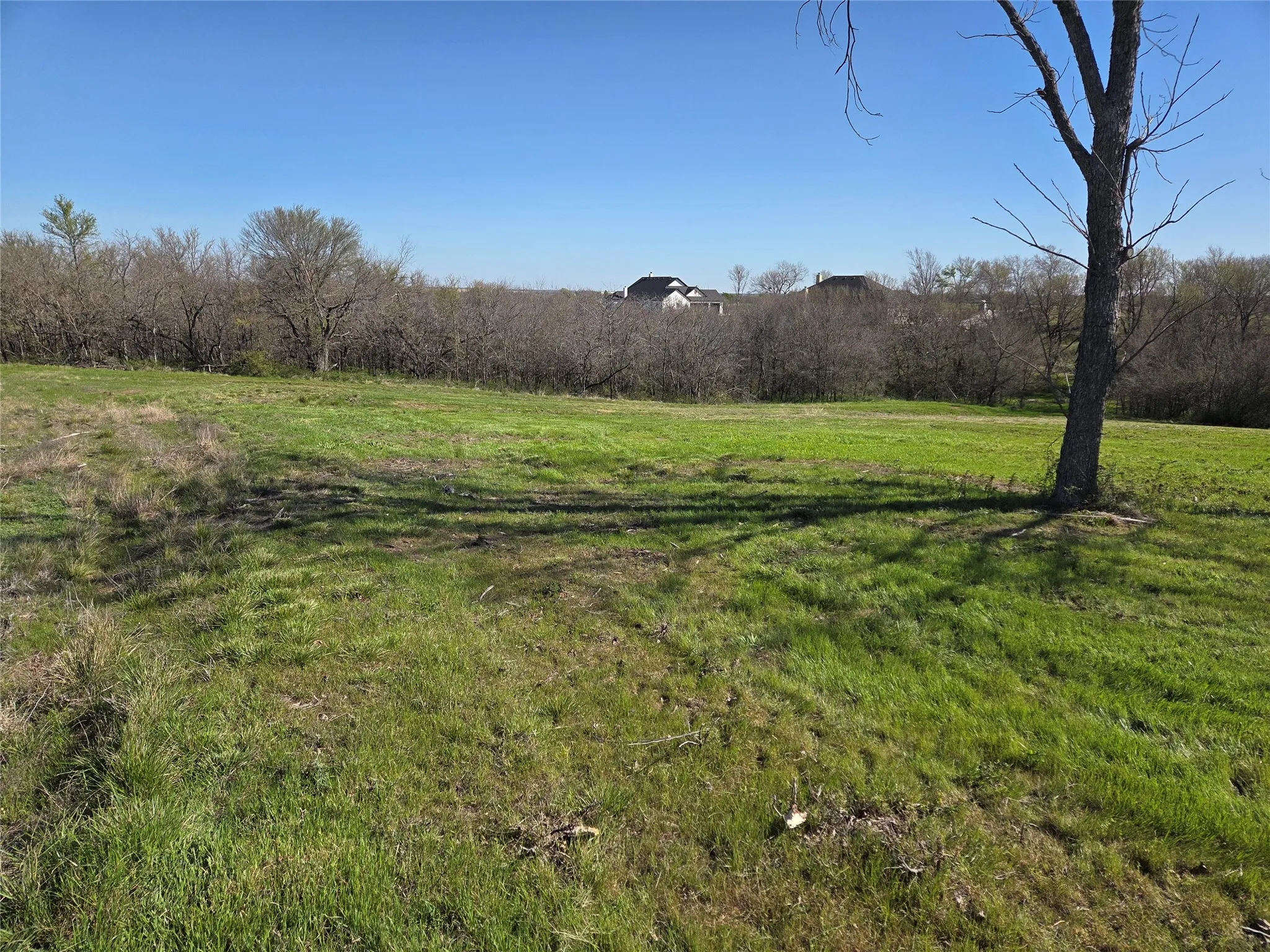 Unimproved Land For Sale in Navarro County , Lot 60 Sunset Court, Corsicana, Texas 75109, 0, 0, Garage spaces, 0 Sqft, built in 0, mls#21185400, Real Estate Agent in Corsicana, Homes For Sale in Navarro county, Homes For Sale in Corsicana, Realtor in Corsicana Texas, Real Estate Brokerage Independent Realty Texas, Luminita Cordes Realtor