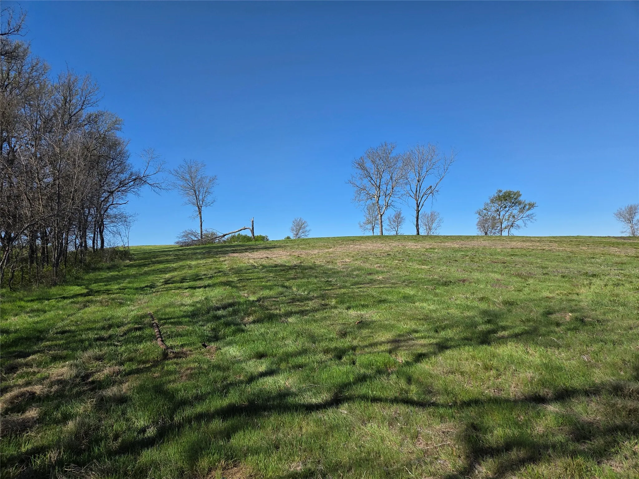Unimproved Land For Sale in Navarro County , Lot 60 Sunset Court, Corsicana, Texas 75109, 0, 0, Garage spaces, 0 Sqft, built in 0, mls#21185400, Real Estate Agent in Corsicana, Homes For Sale in Navarro county, Homes For Sale in Corsicana, Realtor in Corsicana Texas, Real Estate Brokerage Independent Realty Texas, Luminita Cordes Realtor