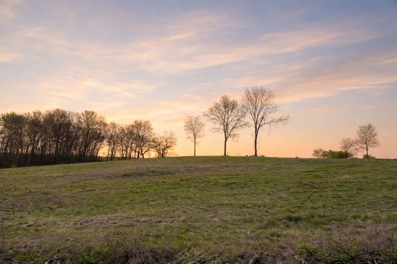 Unimproved Land For Sale in Navarro County , Lot 60 Sunset Court, Corsicana, Texas 75109, 0, 0, Garage spaces, 0 Sqft, built in 0, mls#21185400, Real Estate Agent in Corsicana, Homes For Sale in Navarro county, Homes For Sale in Corsicana, Realtor in Corsicana Texas, Real Estate Brokerage Independent Realty Texas, Luminita Cordes Realtor
