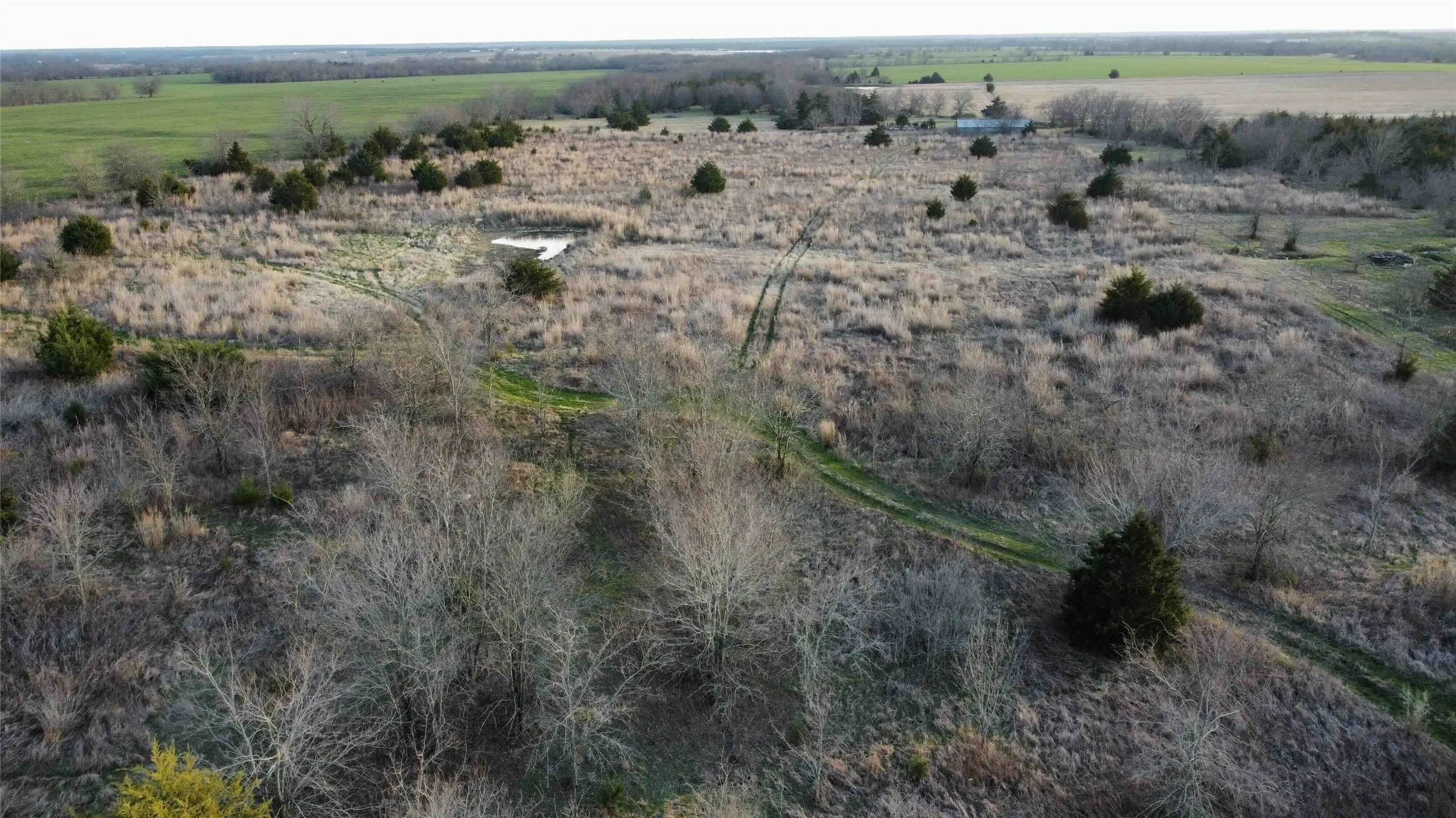 Unimproved Land For Sale in Fannin County , TBD Lot 7 County Road 3425, Honey Grove, Texas 75446, 0, 0, Garage spaces, 0 Sqft, built in 0, Price $285,000, mls#21186248, Real Estate Agent in Honey Grove, Homes For Sale in Fannin county, Homes For Sale in Honey Grove, Realtor in Honey Grove Texas, Real Estate Brokerage Independent Realty Texas, Luminita Cordes Realtor