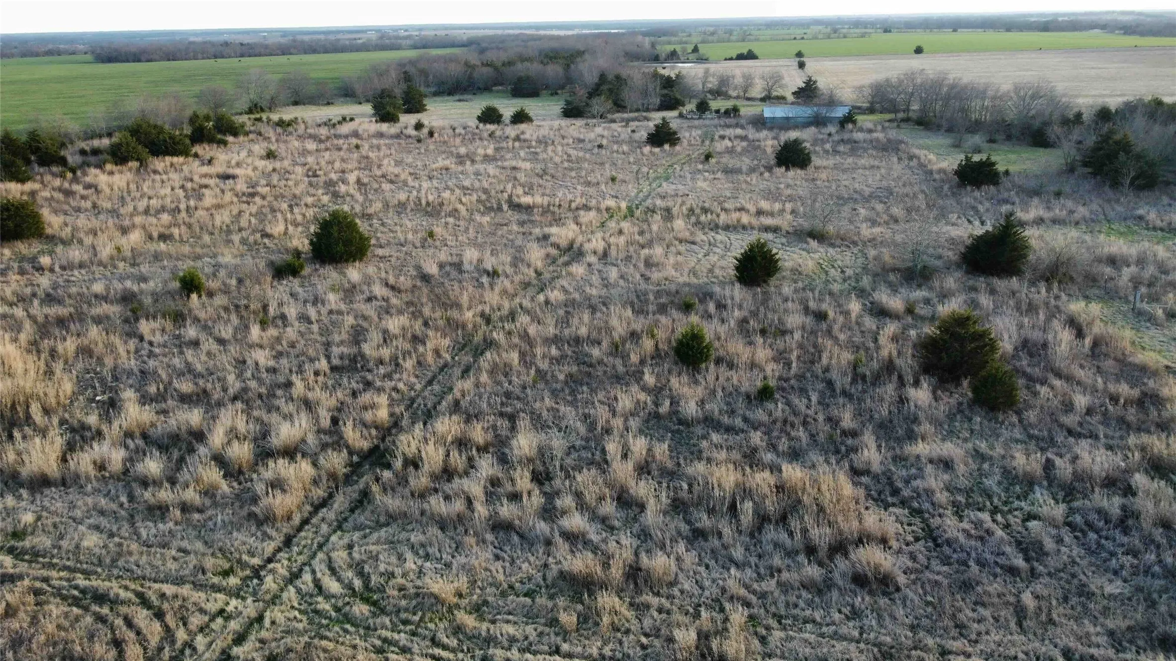 Unimproved Land For Sale in Fannin County , TBD Lot 7 County Road 3425, Honey Grove, Texas 75446, 0, 0, Garage spaces, 0 Sqft, built in 0, Price $285,000, mls#21186248, Real Estate Agent in Honey Grove, Homes For Sale in Fannin county, Homes For Sale in Honey Grove, Realtor in Honey Grove Texas, Real Estate Brokerage Independent Realty Texas, Luminita Cordes Realtor