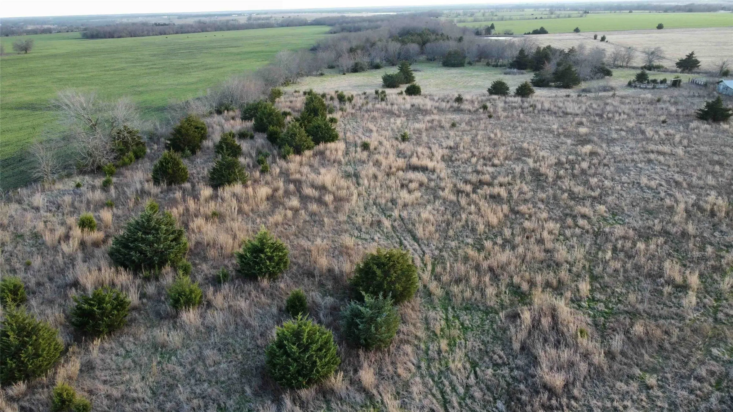 Unimproved Land For Sale in Fannin County , TBD Lot 7 County Road 3425, Honey Grove, Texas 75446, 0, 0, Garage spaces, 0 Sqft, built in 0, Price $285,000, mls#21186248, Real Estate Agent in Honey Grove, Homes For Sale in Fannin county, Homes For Sale in Honey Grove, Realtor in Honey Grove Texas, Real Estate Brokerage Independent Realty Texas, Luminita Cordes Realtor