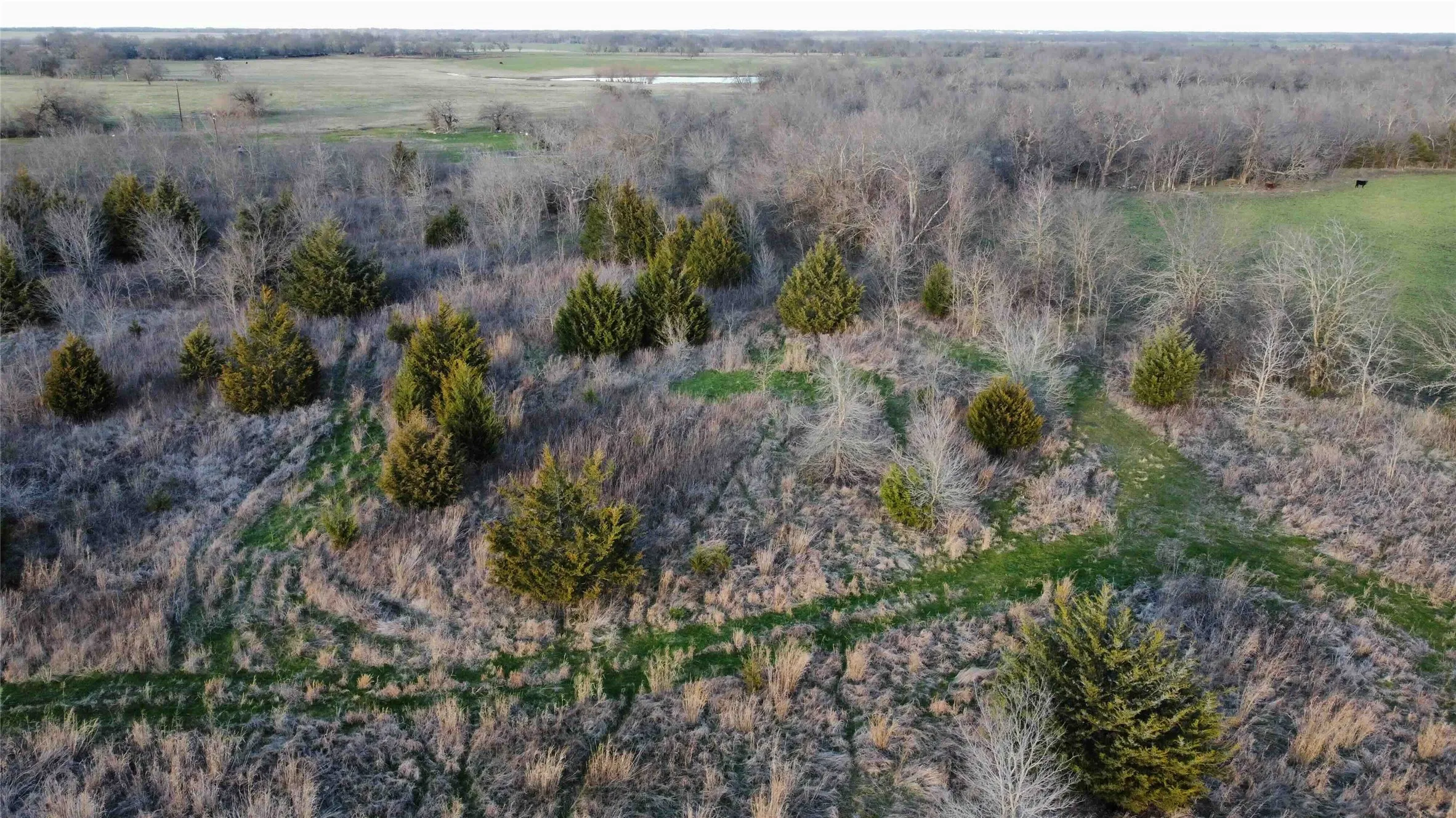 Unimproved Land For Sale in Fannin County , TBD Lot 7 County Road 3425, Honey Grove, Texas 75446, 0, 0, Garage spaces, 0 Sqft, built in 0, Price $285,000, mls#21186248, Real Estate Agent in Honey Grove, Homes For Sale in Fannin county, Homes For Sale in Honey Grove, Realtor in Honey Grove Texas, Real Estate Brokerage Independent Realty Texas, Luminita Cordes Realtor