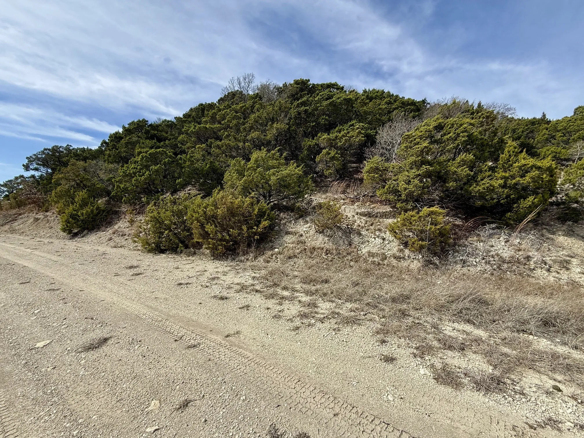 Unimproved Land For Sale in Hamilton County , Lot 166 Private Road 16022, Jonesboro, Texas 76538, 0, 0, Garage spaces, 0 Sqft, built in 0, Price $129,000, mls#21185758, Real Estate Agent in Jonesboro, Homes For Sale in Hamilton county, Homes For Sale in Jonesboro, Realtor in Jonesboro Texas, Real Estate Brokerage Independent Realty Texas, Luminita Cordes Realtor
