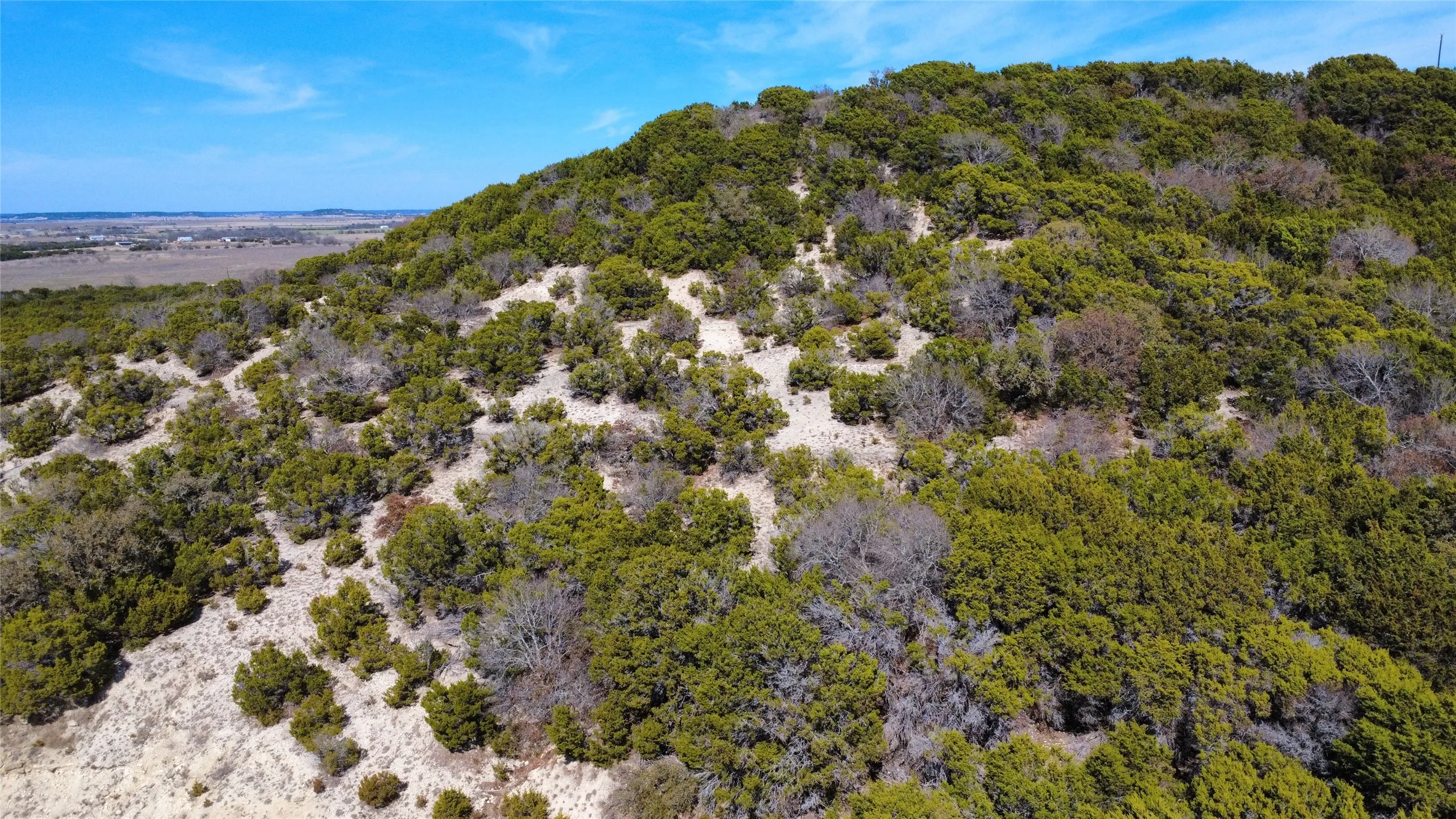 Unimproved Land For Sale in Hamilton County , Lot 166 Private Road 16022, Jonesboro, Texas 76538, 0, 0, Garage spaces, 0 Sqft, built in 0, Price $129,000, mls#21185758, Real Estate Agent in Jonesboro, Homes For Sale in Hamilton county, Homes For Sale in Jonesboro, Realtor in Jonesboro Texas, Real Estate Brokerage Independent Realty Texas, Luminita Cordes Realtor