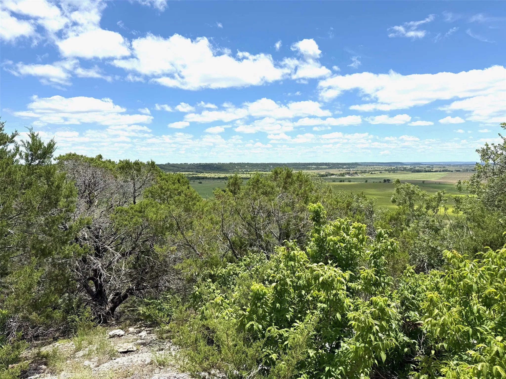 Unimproved Land For Sale in Hamilton County , Lot 166 Private Road 16022, Jonesboro, Texas 76538, 0, 0, Garage spaces, 0 Sqft, built in 0, Price $129,000, mls#21185758, Real Estate Agent in Jonesboro, Homes For Sale in Hamilton county, Homes For Sale in Jonesboro, Realtor in Jonesboro Texas, Real Estate Brokerage Independent Realty Texas, Luminita Cordes Realtor