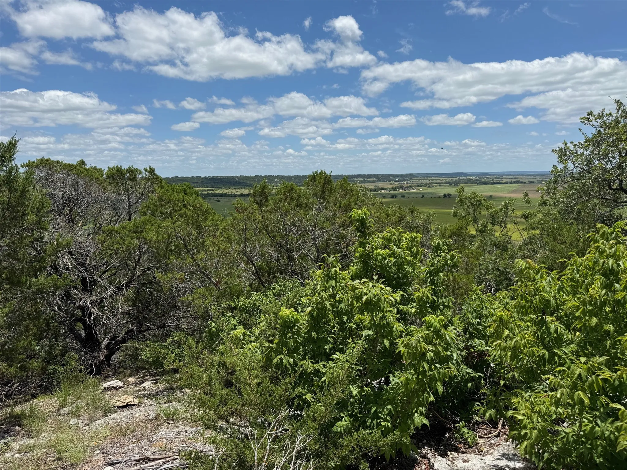 Unimproved Land For Sale in Hamilton County , Lot 166 Private Road 16022, Jonesboro, Texas 76538, 0, 0, Garage spaces, 0 Sqft, built in 0, Price $129,000, mls#21185758, Real Estate Agent in Jonesboro, Homes For Sale in Hamilton county, Homes For Sale in Jonesboro, Realtor in Jonesboro Texas, Real Estate Brokerage Independent Realty Texas, Luminita Cordes Realtor
