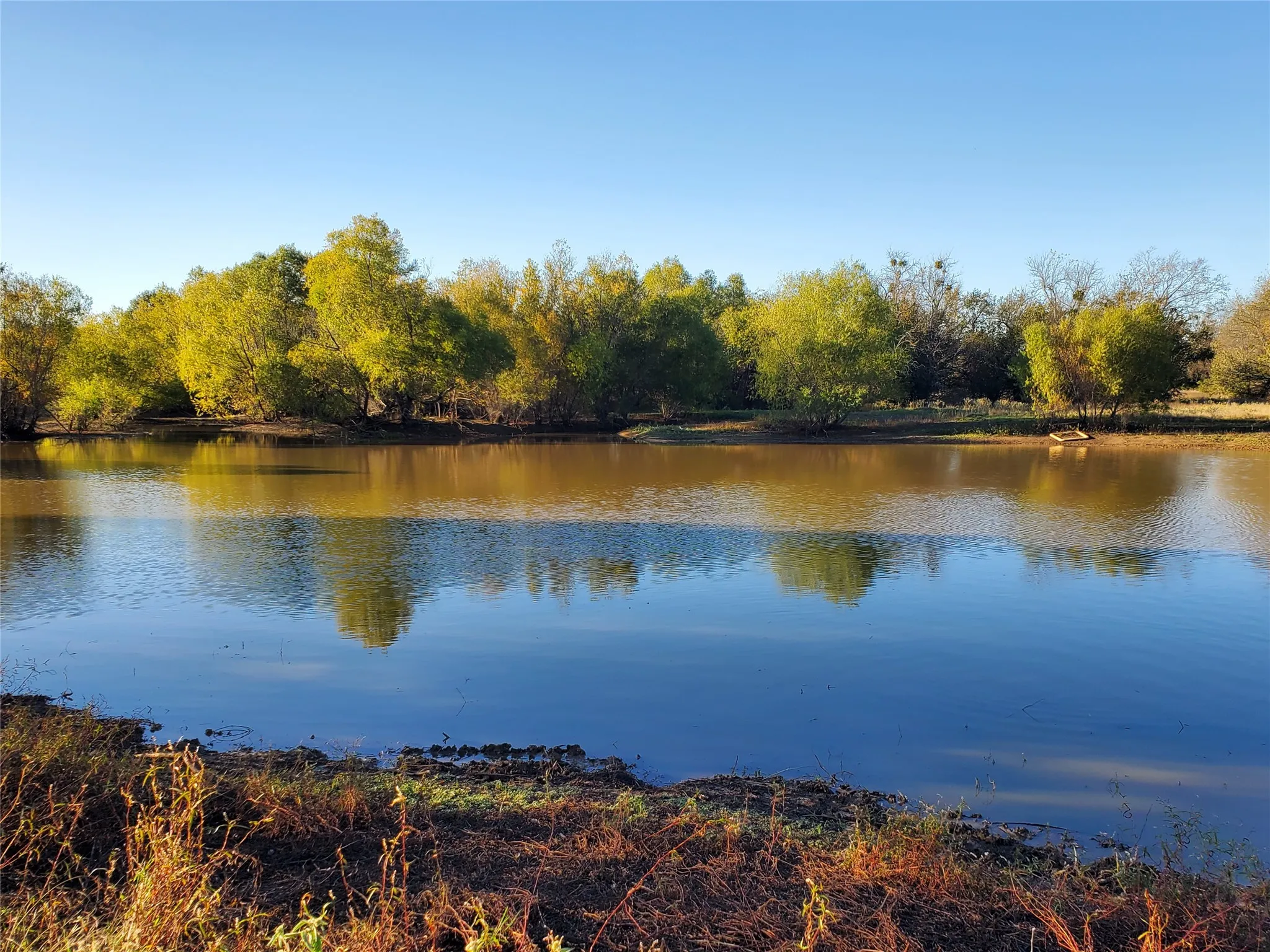 Improved Land For Sale in Fannin County , 3721 FM 1396 E, Ivanhoe, Texas 75447, 0, 0, Garage spaces, 0 Sqft, built in 0, mls#21186166, Real Estate Agent in Ivanhoe, Homes For Sale in Fannin county, Homes For Sale in Ivanhoe, Realtor in Ivanhoe Texas, Real Estate Brokerage Independent Realty Texas, Luminita Cordes Realtor