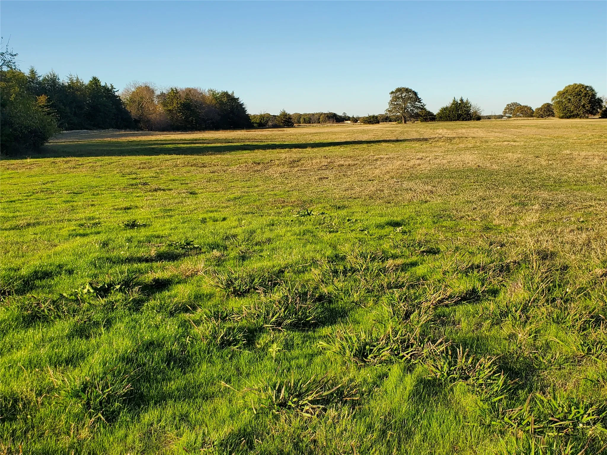 Hay Meadow
