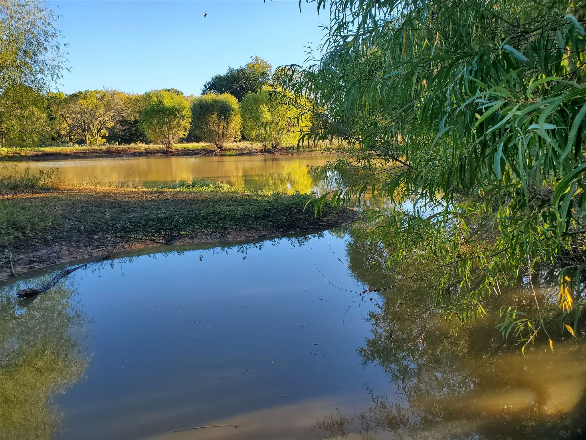 Stocked Fishing Pond