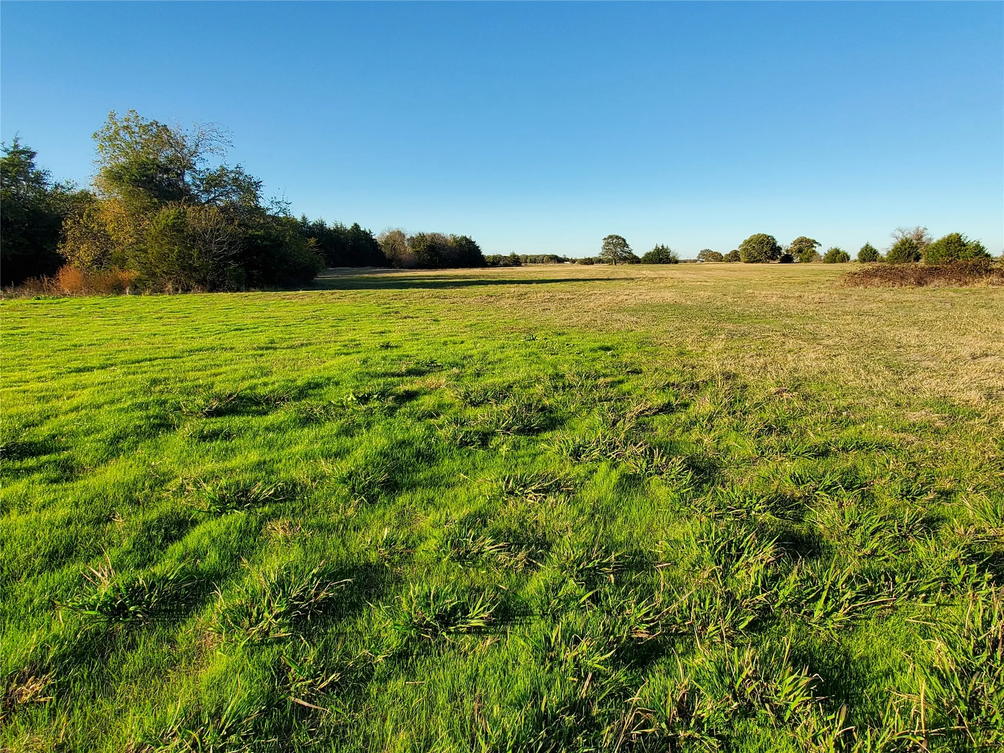 Hay Meadow