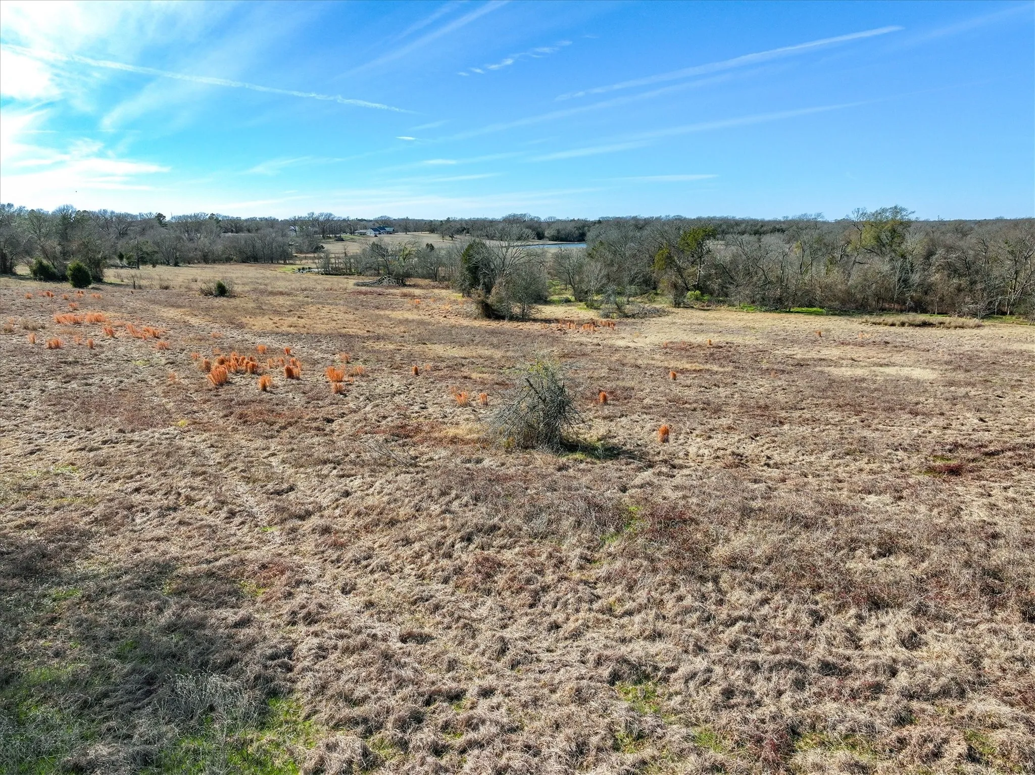 Unimproved Land For Sale in Van Zandt County , 000 VZ County Road 2411, Canton, Texas 75103, 0, 0, Garage spaces, 0 Sqft, built in 0, Price $275,000, mls#21168032, Real Estate Agent in Canton, Homes For Sale in Van Zandt county, Homes For Sale in Canton, Realtor in Canton Texas, Real Estate Brokerage Independent Realty Texas, Luminita Cordes Realtor