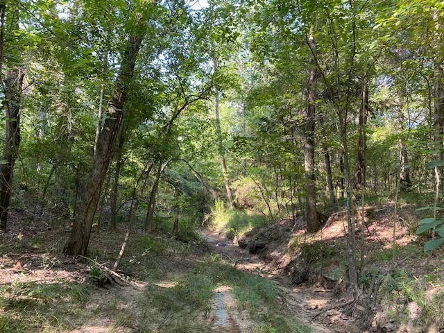 Unimproved Land For Sale in Henderson County , TR 4-A CR 41514, Athens, Texas 75751, 0, 0, Garage spaces, 0 Sqft, built in 0, Price $155,300, mls#21186571, Real Estate Agent in Athens, Homes For Sale in Henderson county, Homes For Sale in Athens, Realtor in Athens Texas, Real Estate Brokerage Independent Realty Texas, Luminita Cordes Realtor