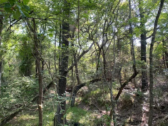 Unimproved Land For Sale in Henderson County , TR 4-A CR 41514, Athens, Texas 75751, 0, 0, Garage spaces, 0 Sqft, built in 0, Price $155,300, mls#21186571, Real Estate Agent in Athens, Homes For Sale in Henderson county, Homes For Sale in Athens, Realtor in Athens Texas, Real Estate Brokerage Independent Realty Texas, Luminita Cordes Realtor