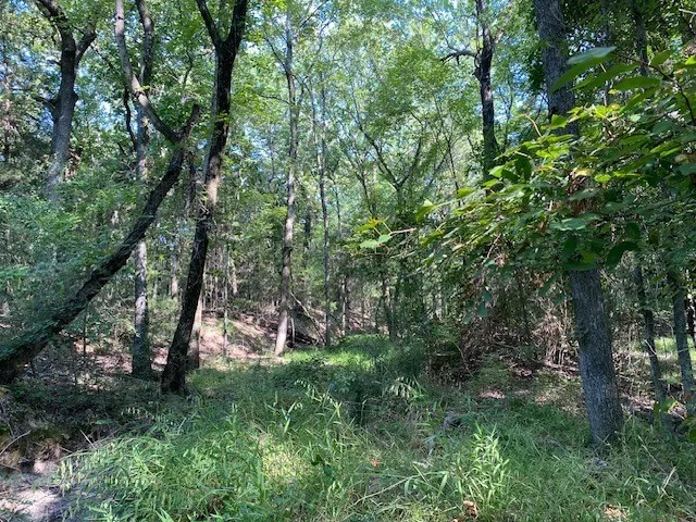 Unimproved Land For Sale in Henderson County , TR 3-A CR 41514, Athens, Texas 75751, 0, 0, Garage spaces, 0 Sqft, built in 0, Price $155,300, mls#21186574, Real Estate Agent in Athens, Homes For Sale in Henderson county, Homes For Sale in Athens, Realtor in Athens Texas, Real Estate Brokerage Independent Realty Texas, Luminita Cordes Realtor