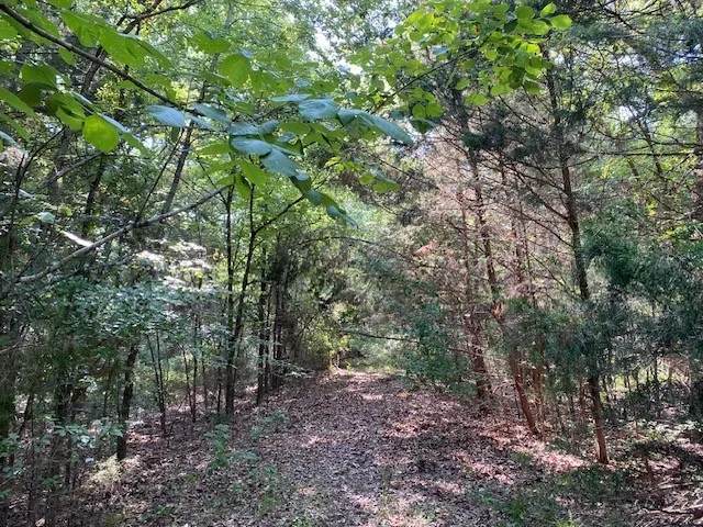 Unimproved Land For Sale in Henderson County , TR 3-B CR 41514, Athens, Texas 75751, 0, 0, Garage spaces, 0 Sqft, built in 0, Price $155,300, mls#21186581, Real Estate Agent in Athens, Homes For Sale in Henderson county, Homes For Sale in Athens, Realtor in Athens Texas, Real Estate Brokerage Independent Realty Texas, Luminita Cordes Realtor