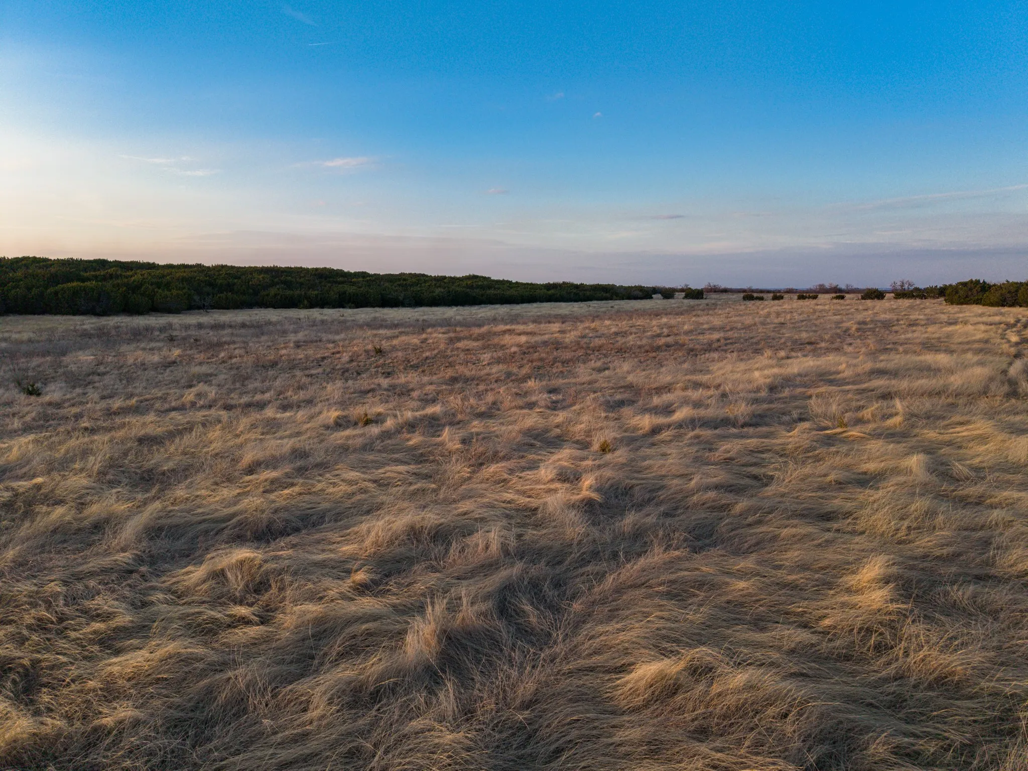 Farm For Sale in Coryell County , 1140 County Road 130, Gatesville, Texas 76528, 3 Bedroom, 3 Bathroom, 3 Garage spaces, 3,725 Sqft, built in 2005, Price $1,775,000, mls#21186637, Real Estate Agent in Gatesville, Homes For Sale in Coryell county, Homes For Sale in Gatesville, Realtor in Gatesville Texas, Real Estate Brokerage Independent Realty Texas, Luminita Cordes Realtor