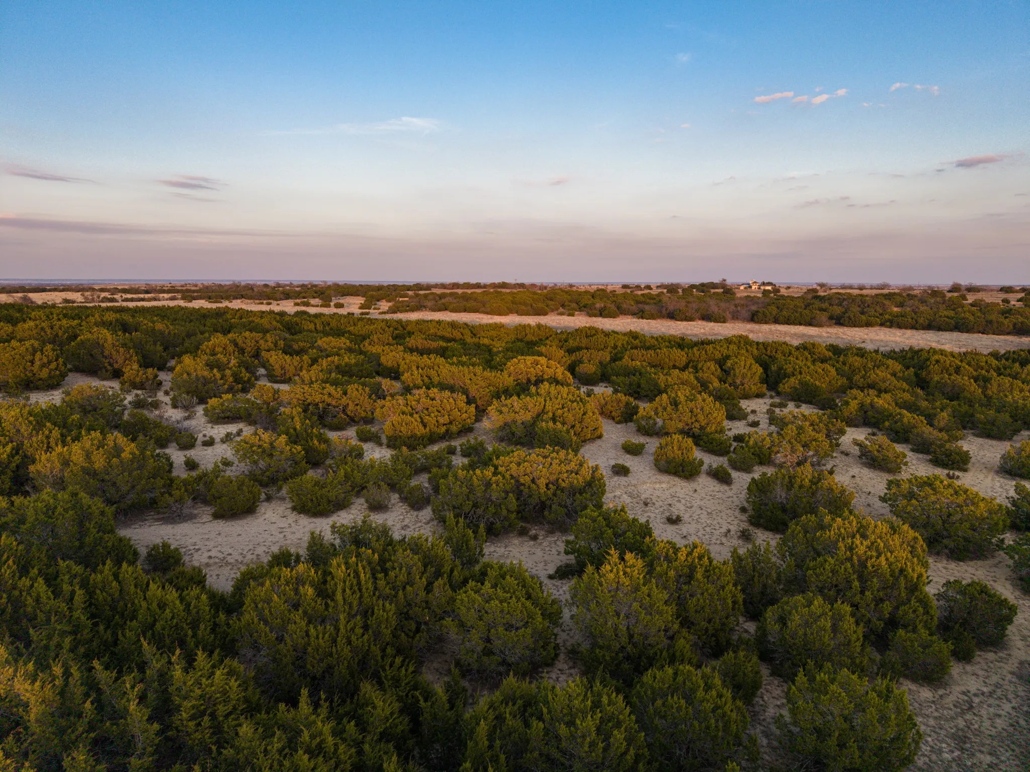 Farm For Sale in Coryell County , 1140 County Road 130, Gatesville, Texas 76528, 3 Bedroom, 3 Bathroom, 3 Garage spaces, 3,725 Sqft, built in 2005, Price $1,775,000, mls#21186637, Real Estate Agent in Gatesville, Homes For Sale in Coryell county, Homes For Sale in Gatesville, Realtor in Gatesville Texas, Real Estate Brokerage Independent Realty Texas, Luminita Cordes Realtor