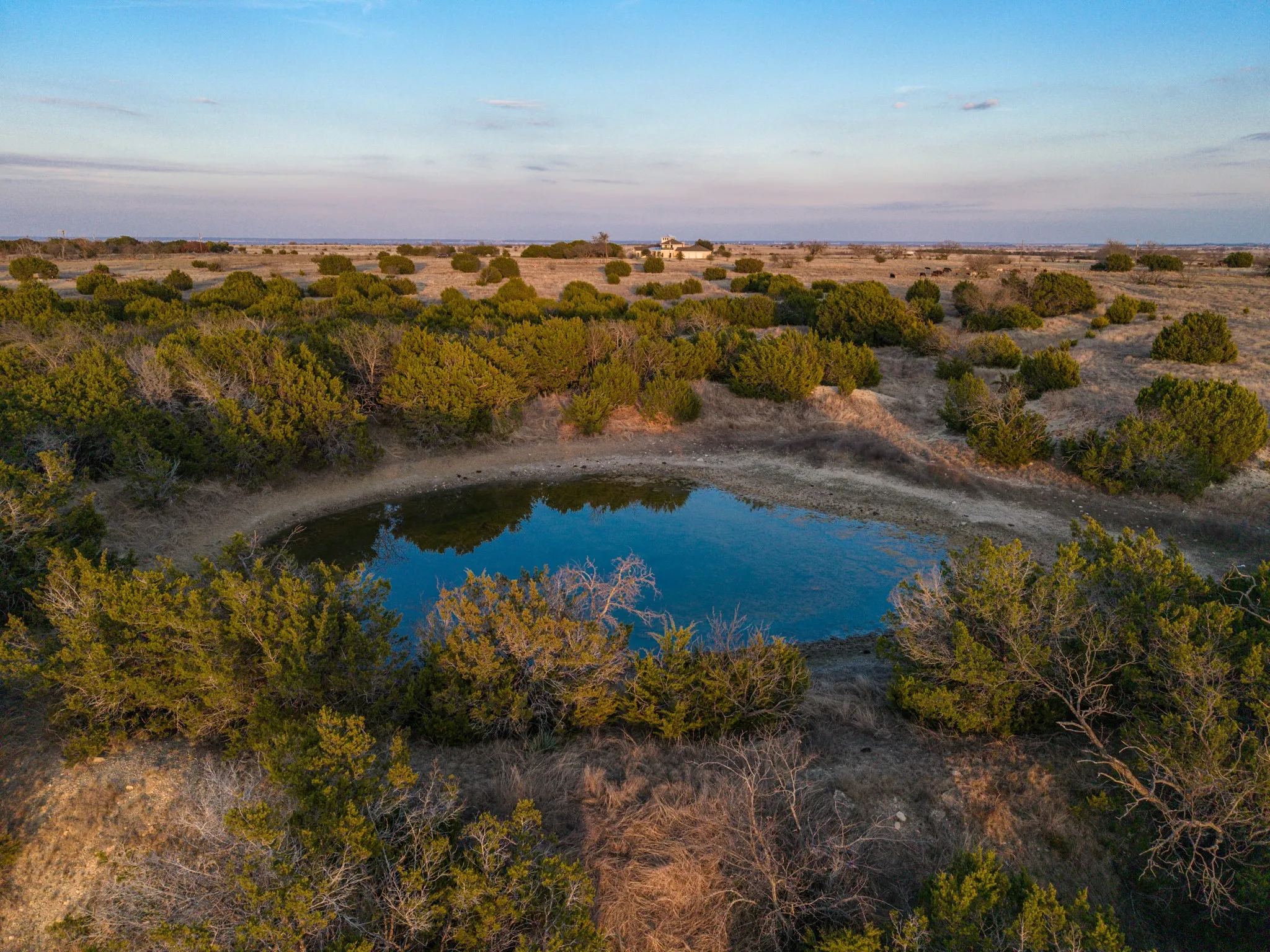 Farm For Sale in Coryell County , 1140 County Road 130, Gatesville, Texas 76528, 3 Bedroom, 3 Bathroom, 3 Garage spaces, 3,725 Sqft, built in 2005, Price $1,775,000, mls#21186637, Real Estate Agent in Gatesville, Homes For Sale in Coryell county, Homes For Sale in Gatesville, Realtor in Gatesville Texas, Real Estate Brokerage Independent Realty Texas, Luminita Cordes Realtor