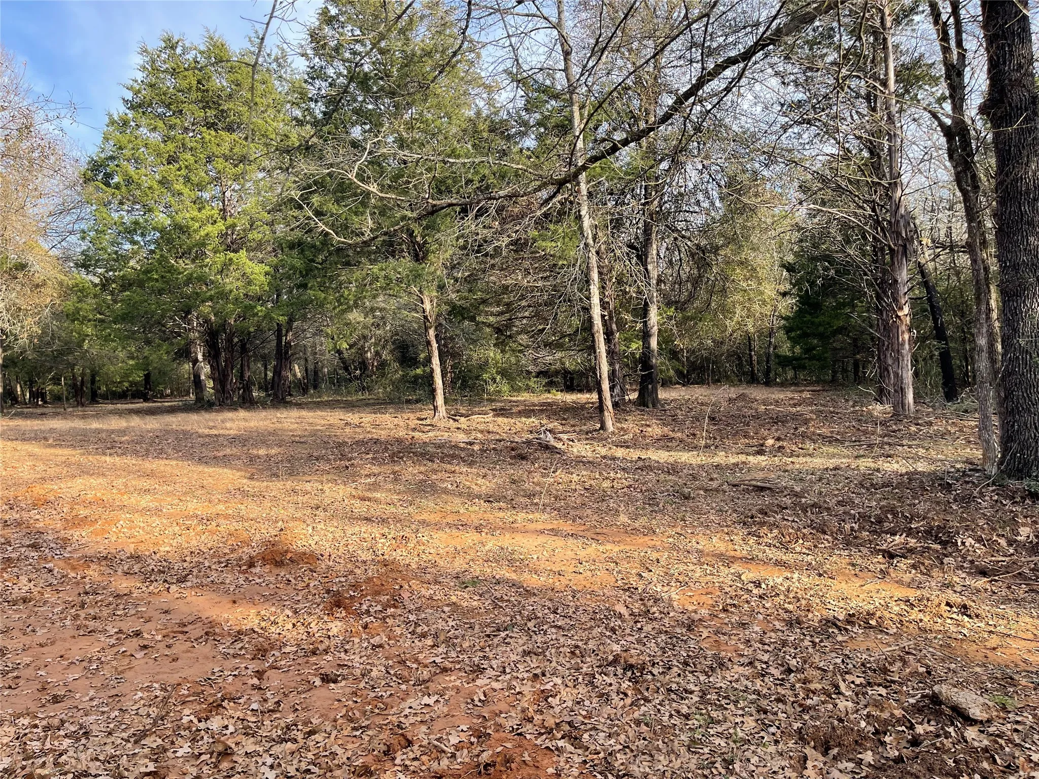 Improved Land For Sale in Freestone County , 210 FCR 521, Fairfield, Texas 75840, 0, 0, Garage spaces, 0 Sqft, built in 1950, mls#21183576, Real Estate Agent in Fairfield, Homes For Sale in Freestone county, Homes For Sale in Fairfield, Realtor in Fairfield Texas, Real Estate Brokerage Independent Realty Texas, Luminita Cordes Realtor