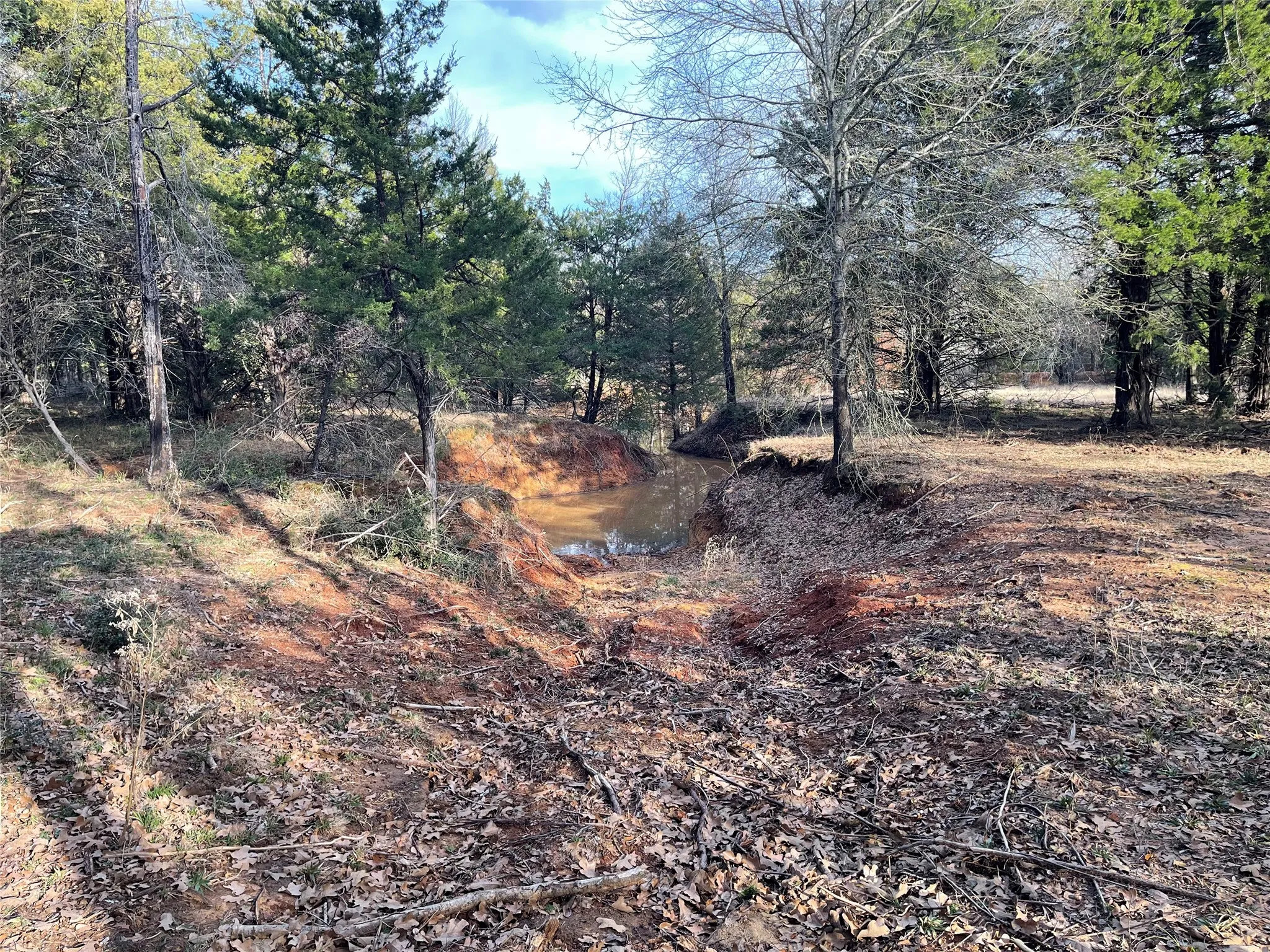 Improved Land For Sale in Freestone County , 210 FCR 521, Fairfield, Texas 75840, 0, 0, Garage spaces, 0 Sqft, built in 1950, mls#21183576, Real Estate Agent in Fairfield, Homes For Sale in Freestone county, Homes For Sale in Fairfield, Realtor in Fairfield Texas, Real Estate Brokerage Independent Realty Texas, Luminita Cordes Realtor