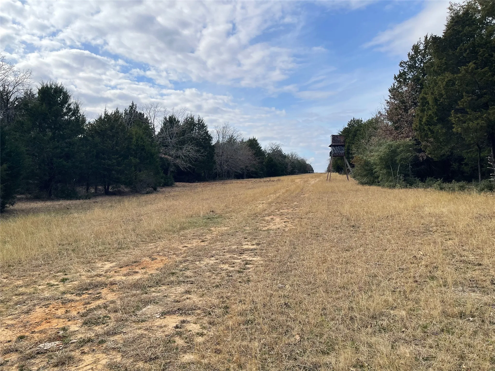 Improved Land For Sale in Freestone County , 210 FCR 521, Fairfield, Texas 75840, 0, 0, Garage spaces, 0 Sqft, built in 1950, mls#21183576, Real Estate Agent in Fairfield, Homes For Sale in Freestone county, Homes For Sale in Fairfield, Realtor in Fairfield Texas, Real Estate Brokerage Independent Realty Texas, Luminita Cordes Realtor