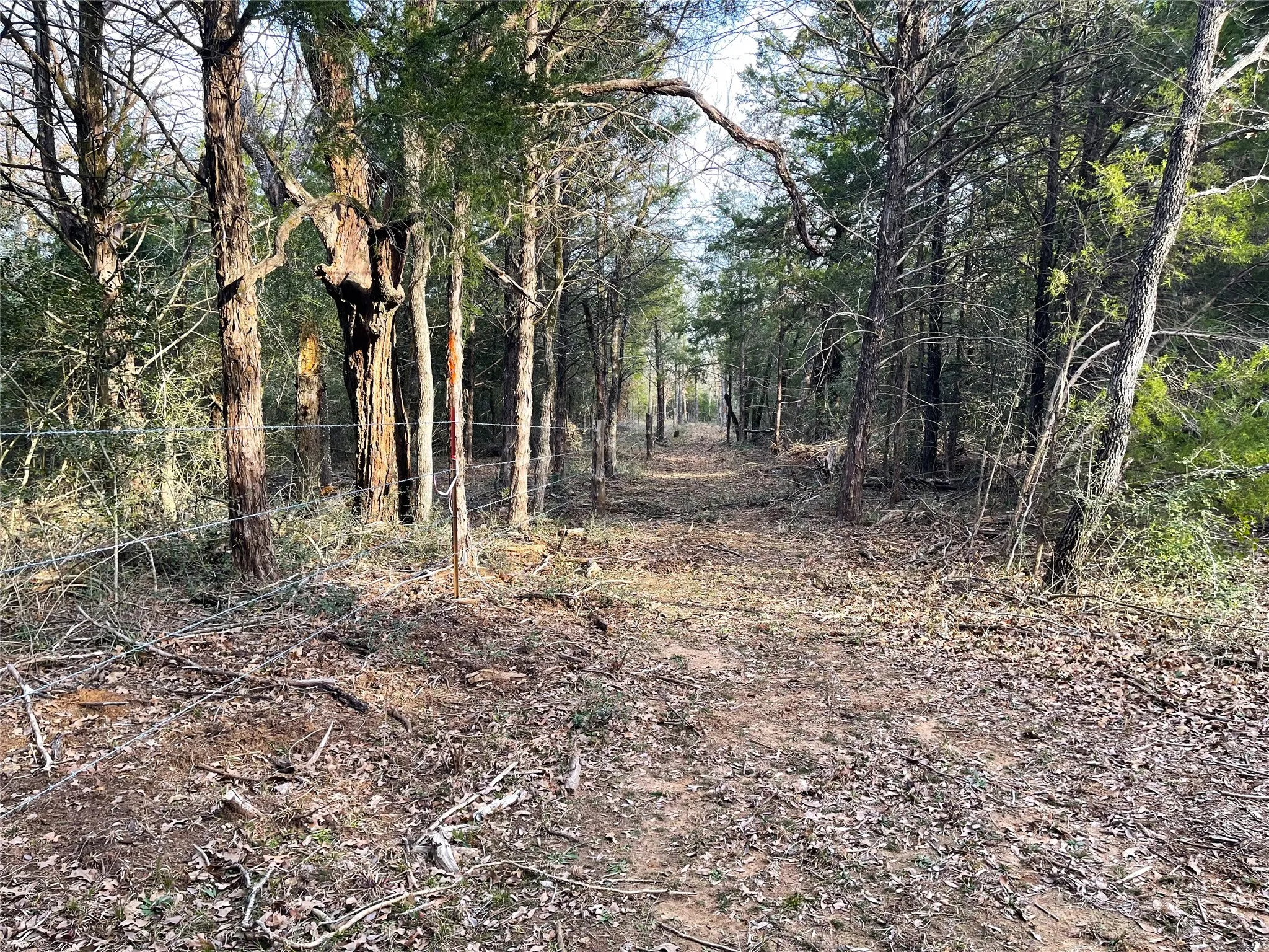 Improved Land For Sale in Freestone County , 210 FCR 521, Fairfield, Texas 75840, 0, 0, Garage spaces, 0 Sqft, built in 1950, mls#21183576, Real Estate Agent in Fairfield, Homes For Sale in Freestone county, Homes For Sale in Fairfield, Realtor in Fairfield Texas, Real Estate Brokerage Independent Realty Texas, Luminita Cordes Realtor