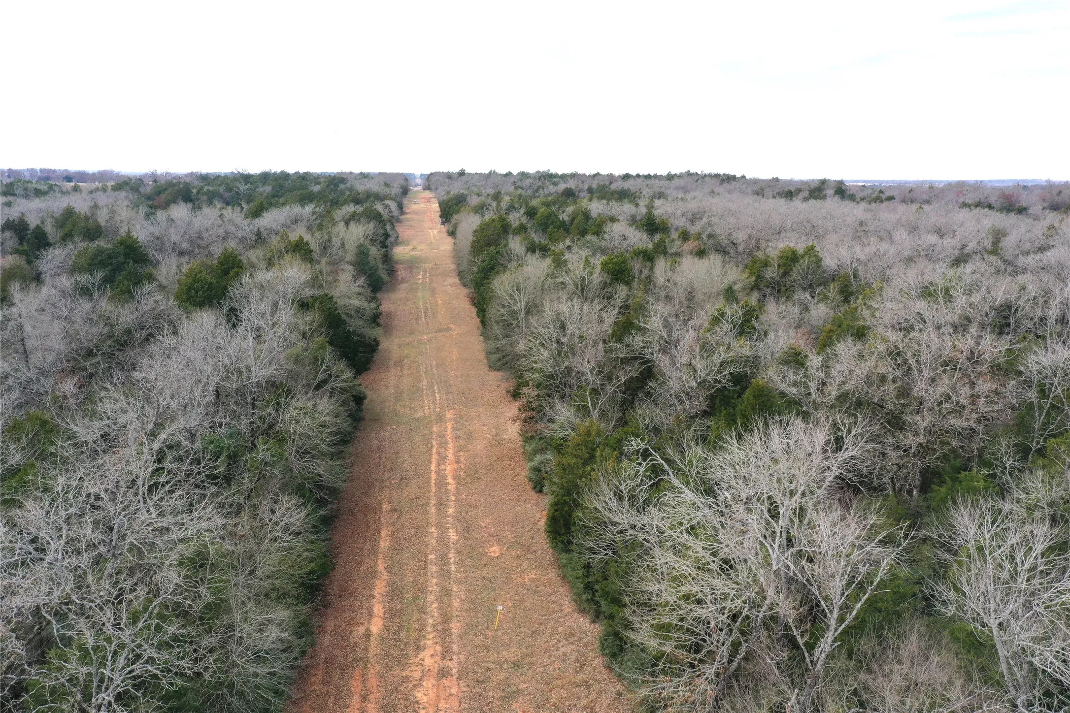 Improved Land For Sale in Freestone County , 210 FCR 521, Fairfield, Texas 75840, 0, 0, Garage spaces, 0 Sqft, built in 1950, mls#21183576, Real Estate Agent in Fairfield, Homes For Sale in Freestone county, Homes For Sale in Fairfield, Realtor in Fairfield Texas, Real Estate Brokerage Independent Realty Texas, Luminita Cordes Realtor