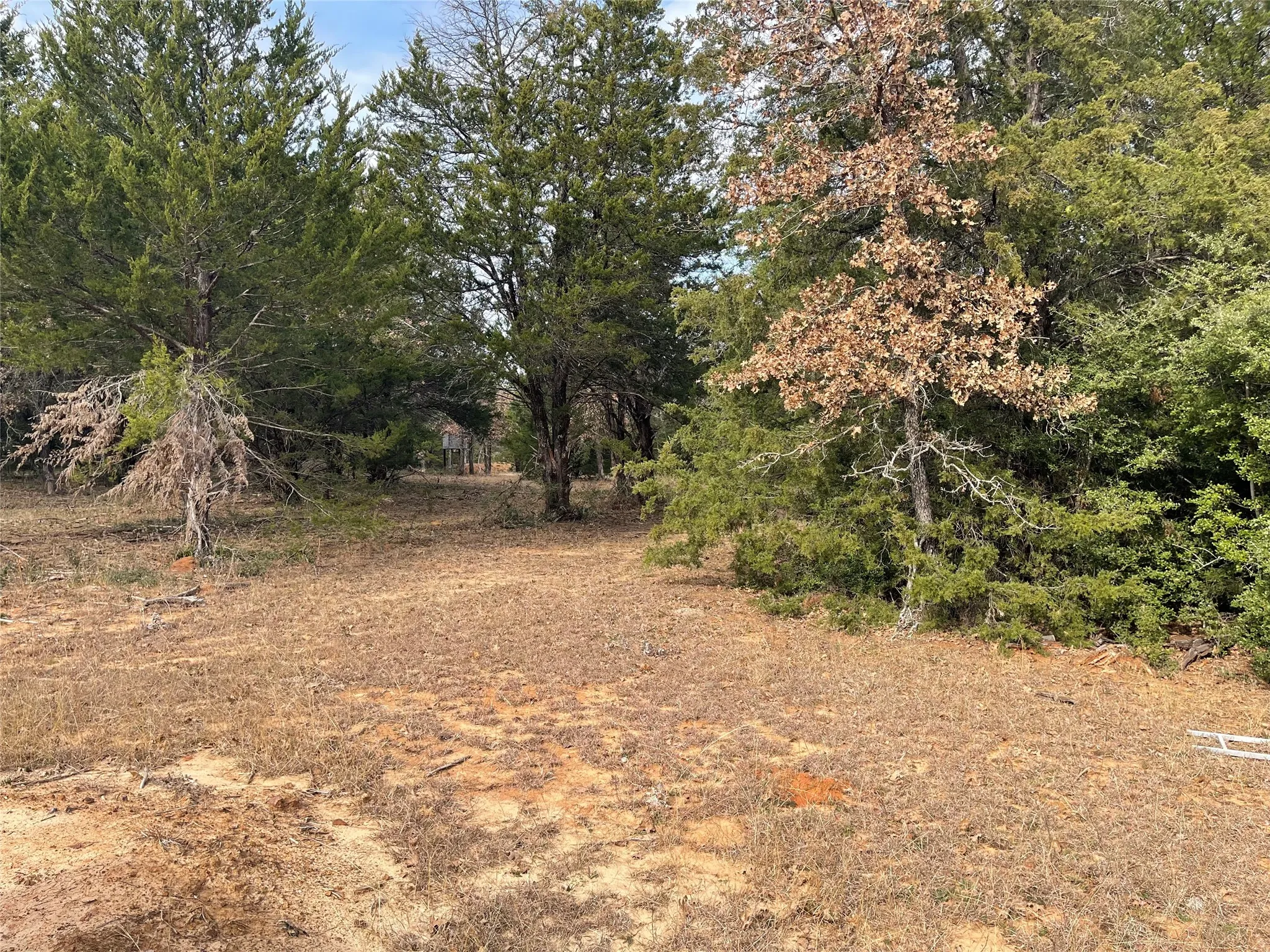 Improved Land For Sale in Freestone County , 210 FCR 521, Fairfield, Texas 75840, 0, 0, Garage spaces, 0 Sqft, built in 1950, mls#21183576, Real Estate Agent in Fairfield, Homes For Sale in Freestone county, Homes For Sale in Fairfield, Realtor in Fairfield Texas, Real Estate Brokerage Independent Realty Texas, Luminita Cordes Realtor