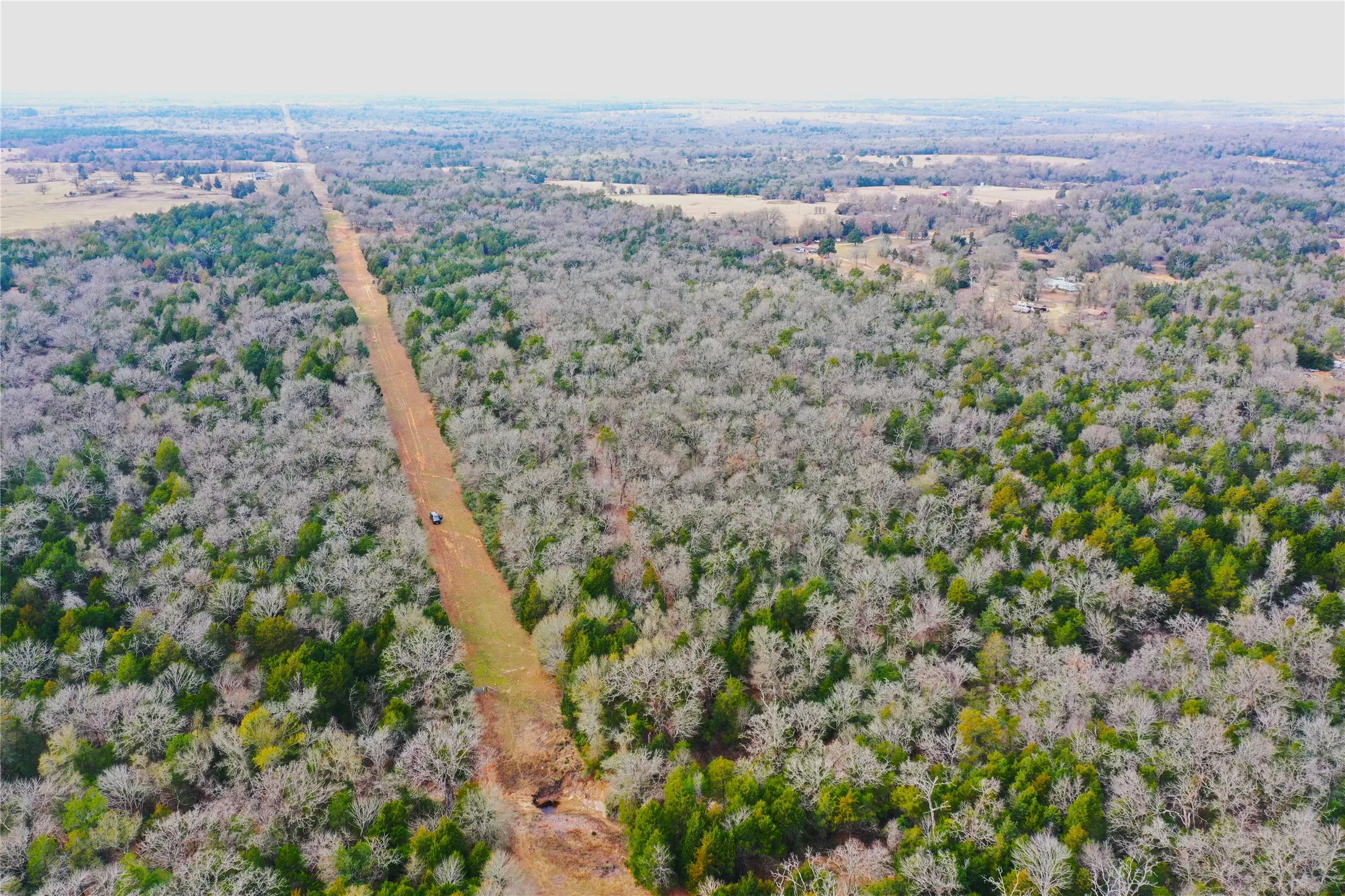 Improved Land For Sale in Freestone County , 210 FCR 521, Fairfield, Texas 75840, 0, 0, Garage spaces, 0 Sqft, built in 1950, mls#21183576, Real Estate Agent in Fairfield, Homes For Sale in Freestone county, Homes For Sale in Fairfield, Realtor in Fairfield Texas, Real Estate Brokerage Independent Realty Texas, Luminita Cordes Realtor
