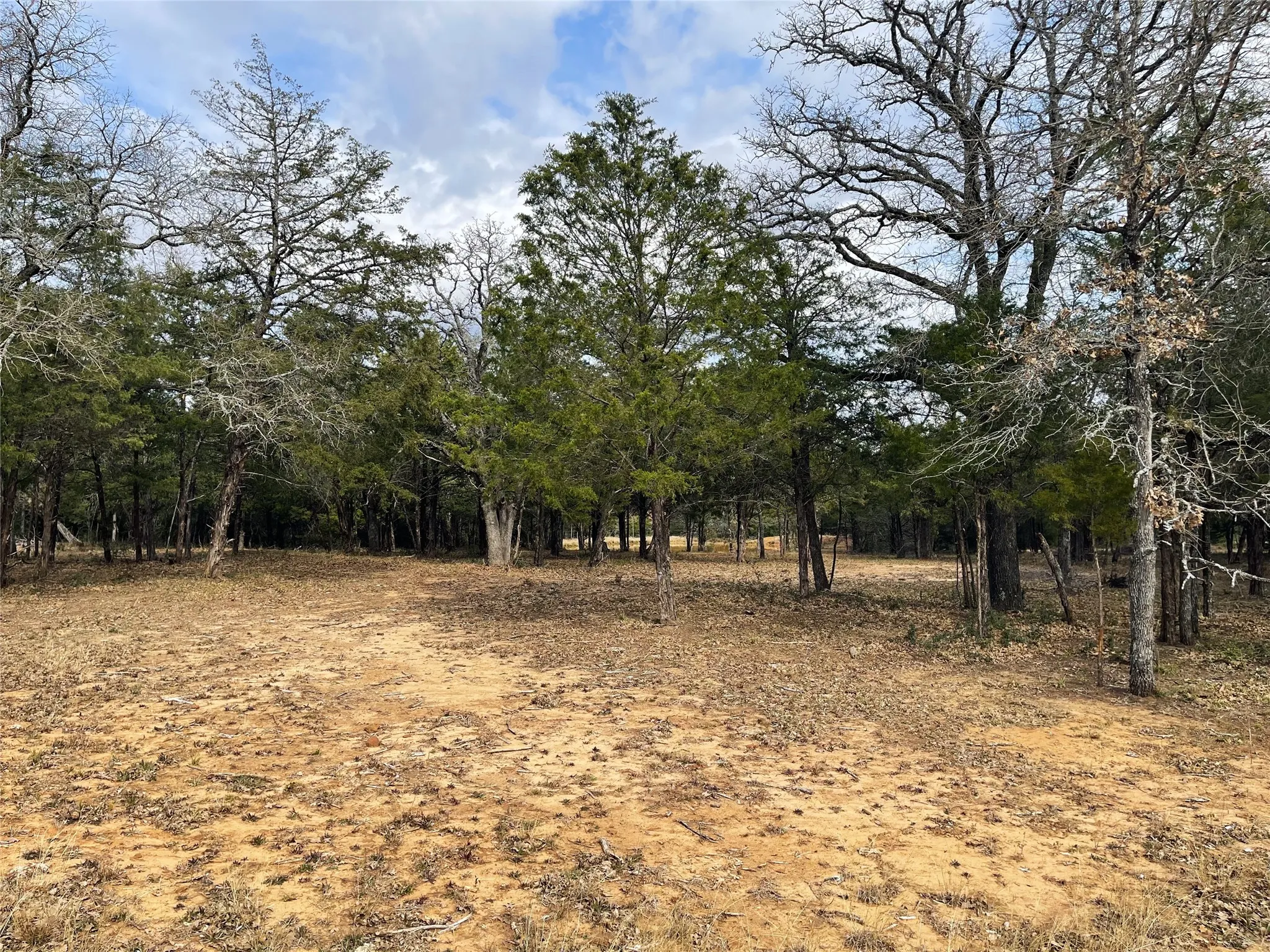 Improved Land For Sale in Freestone County , 210 FCR 521, Fairfield, Texas 75840, 0, 0, Garage spaces, 0 Sqft, built in 1950, mls#21183576, Real Estate Agent in Fairfield, Homes For Sale in Freestone county, Homes For Sale in Fairfield, Realtor in Fairfield Texas, Real Estate Brokerage Independent Realty Texas, Luminita Cordes Realtor
