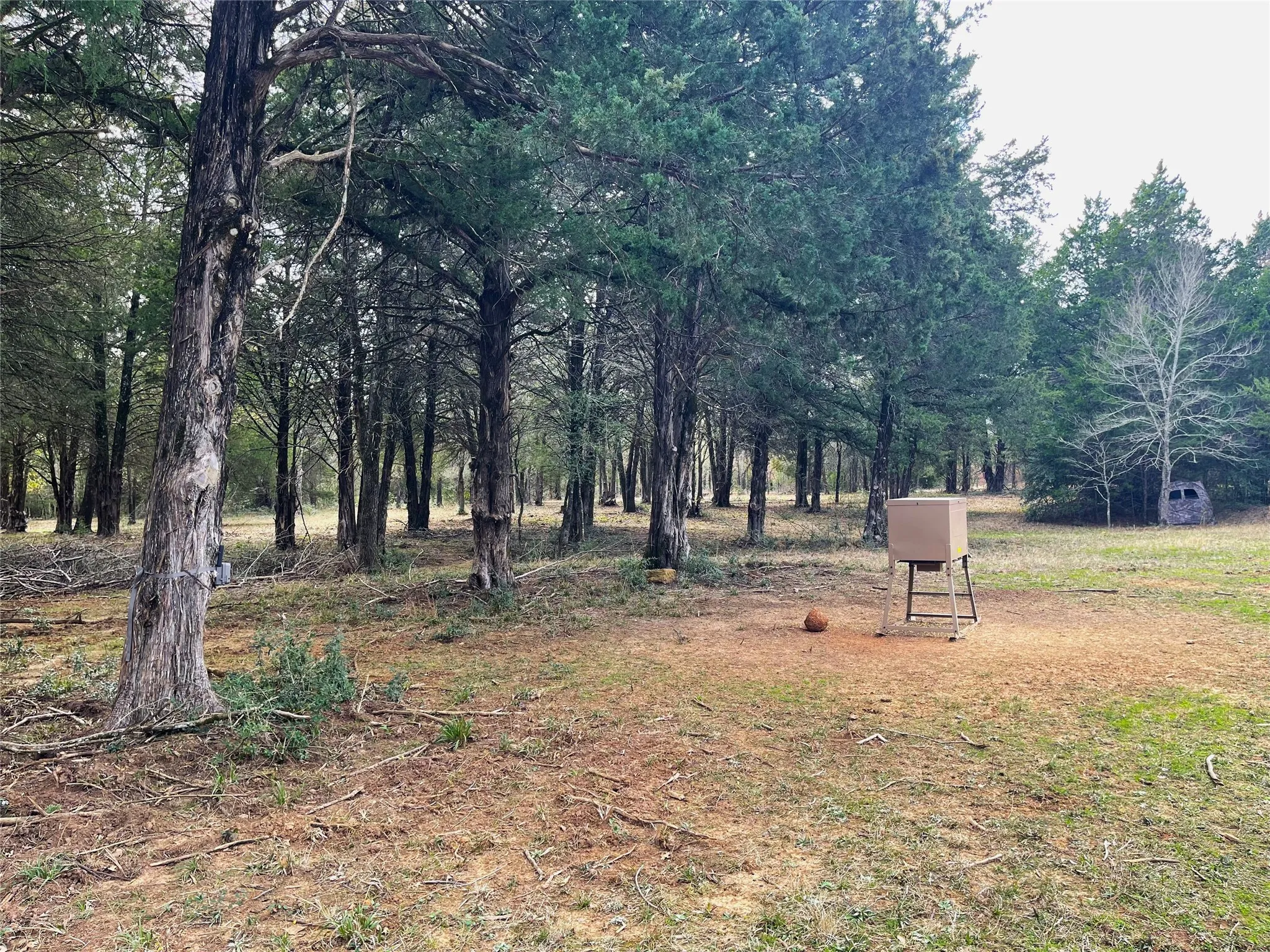 Improved Land For Sale in Freestone County , 210 FCR 521, Fairfield, Texas 75840, 0, 0, Garage spaces, 0 Sqft, built in 1950, mls#21183576, Real Estate Agent in Fairfield, Homes For Sale in Freestone county, Homes For Sale in Fairfield, Realtor in Fairfield Texas, Real Estate Brokerage Independent Realty Texas, Luminita Cordes Realtor
