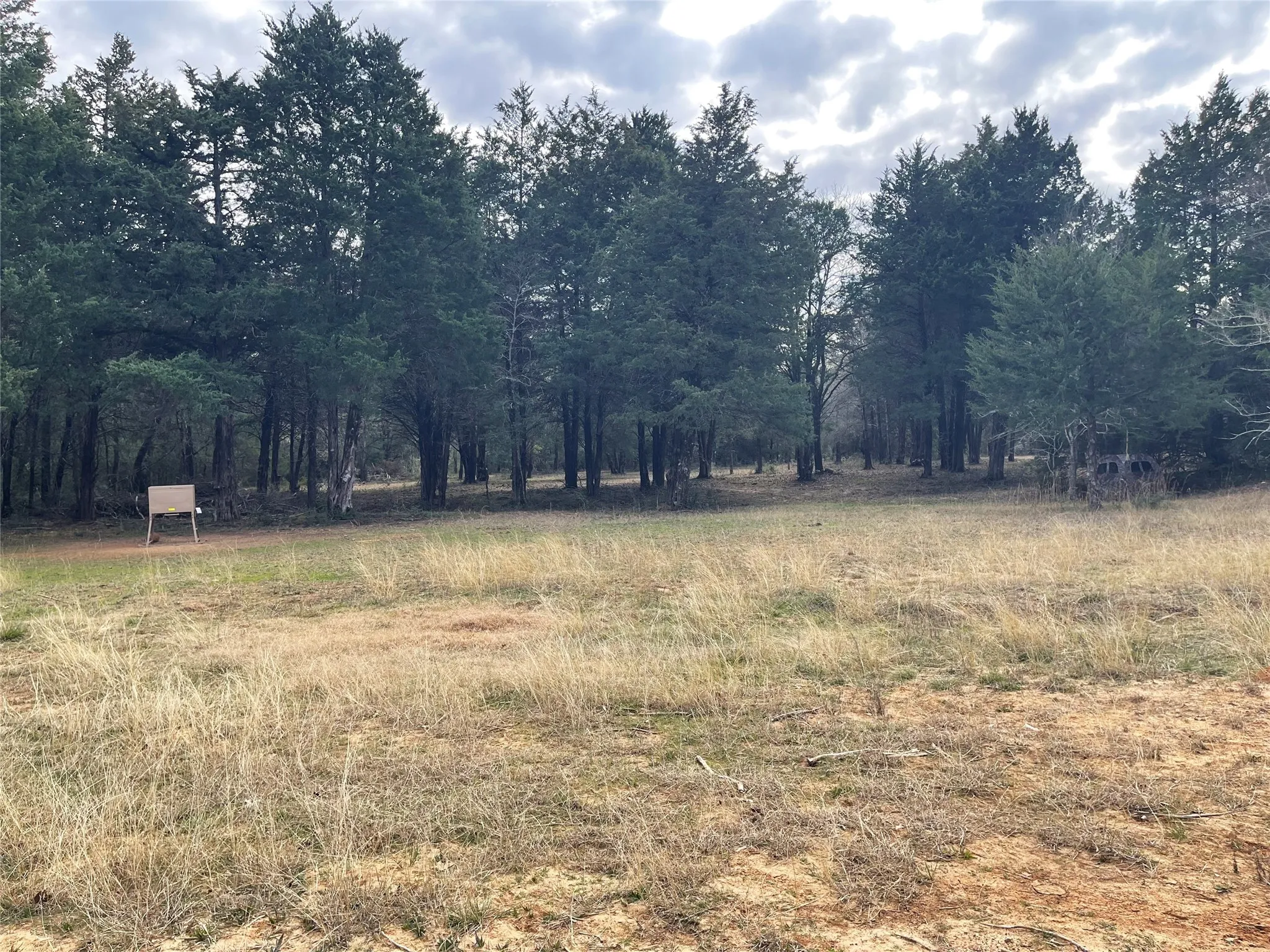 Improved Land For Sale in Freestone County , 210 FCR 521, Fairfield, Texas 75840, 0, 0, Garage spaces, 0 Sqft, built in 1950, mls#21183576, Real Estate Agent in Fairfield, Homes For Sale in Freestone county, Homes For Sale in Fairfield, Realtor in Fairfield Texas, Real Estate Brokerage Independent Realty Texas, Luminita Cordes Realtor