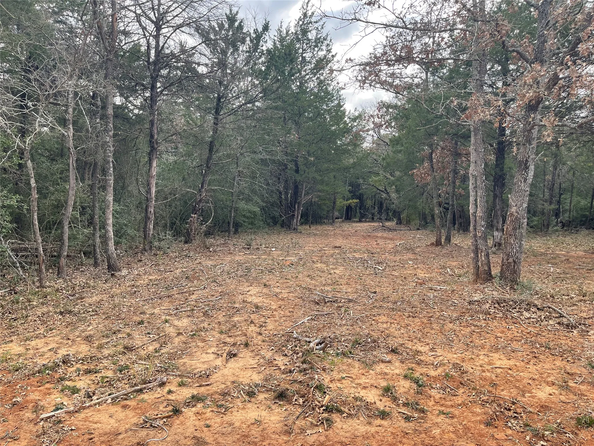 Improved Land For Sale in Freestone County , 210 FCR 521, Fairfield, Texas 75840, 0, 0, Garage spaces, 0 Sqft, built in 1950, mls#21183576, Real Estate Agent in Fairfield, Homes For Sale in Freestone county, Homes For Sale in Fairfield, Realtor in Fairfield Texas, Real Estate Brokerage Independent Realty Texas, Luminita Cordes Realtor