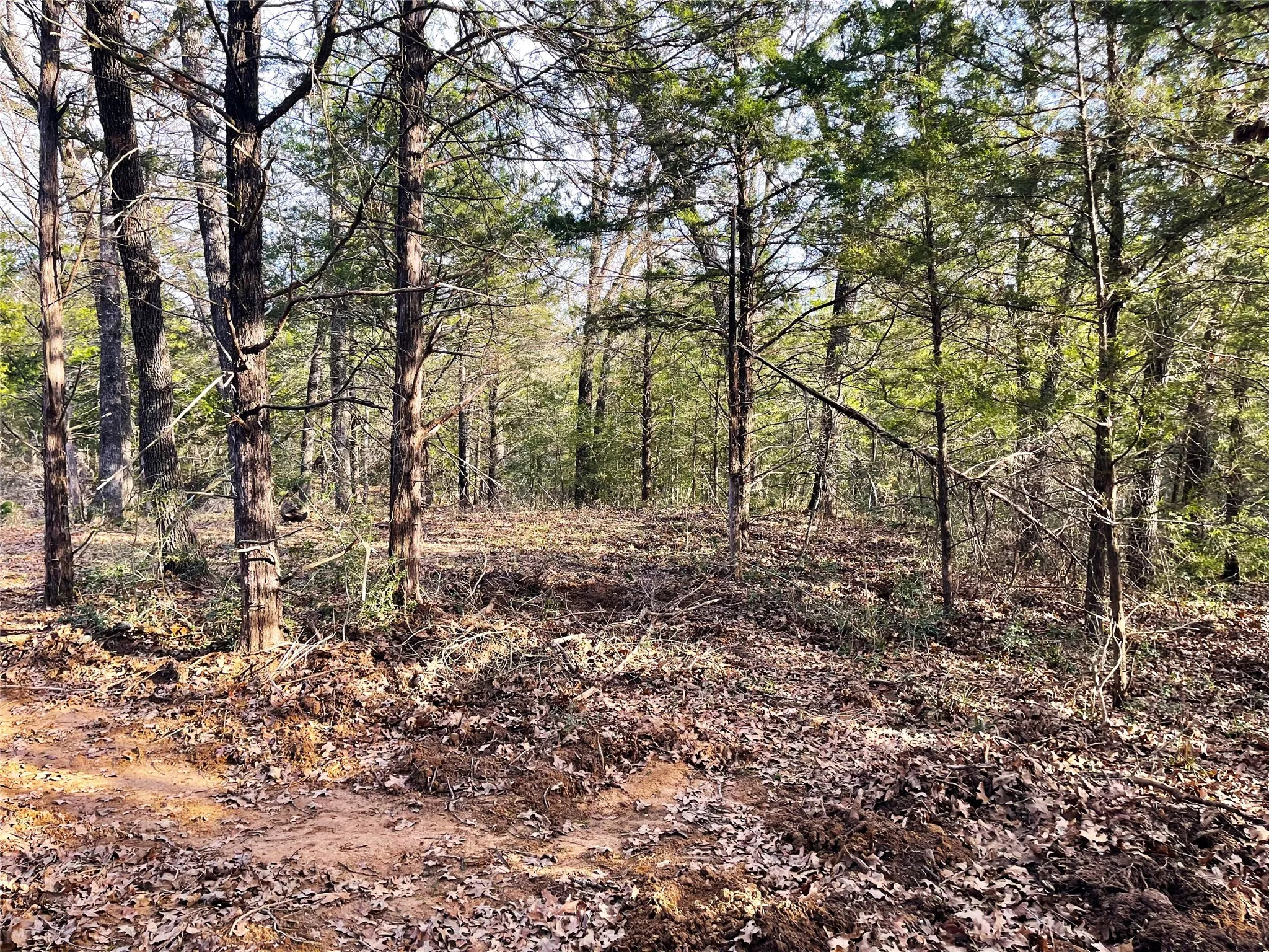 Improved Land For Sale in Freestone County , 210 FCR 521, Fairfield, Texas 75840, 0, 0, Garage spaces, 0 Sqft, built in 1950, mls#21183576, Real Estate Agent in Fairfield, Homes For Sale in Freestone county, Homes For Sale in Fairfield, Realtor in Fairfield Texas, Real Estate Brokerage Independent Realty Texas, Luminita Cordes Realtor