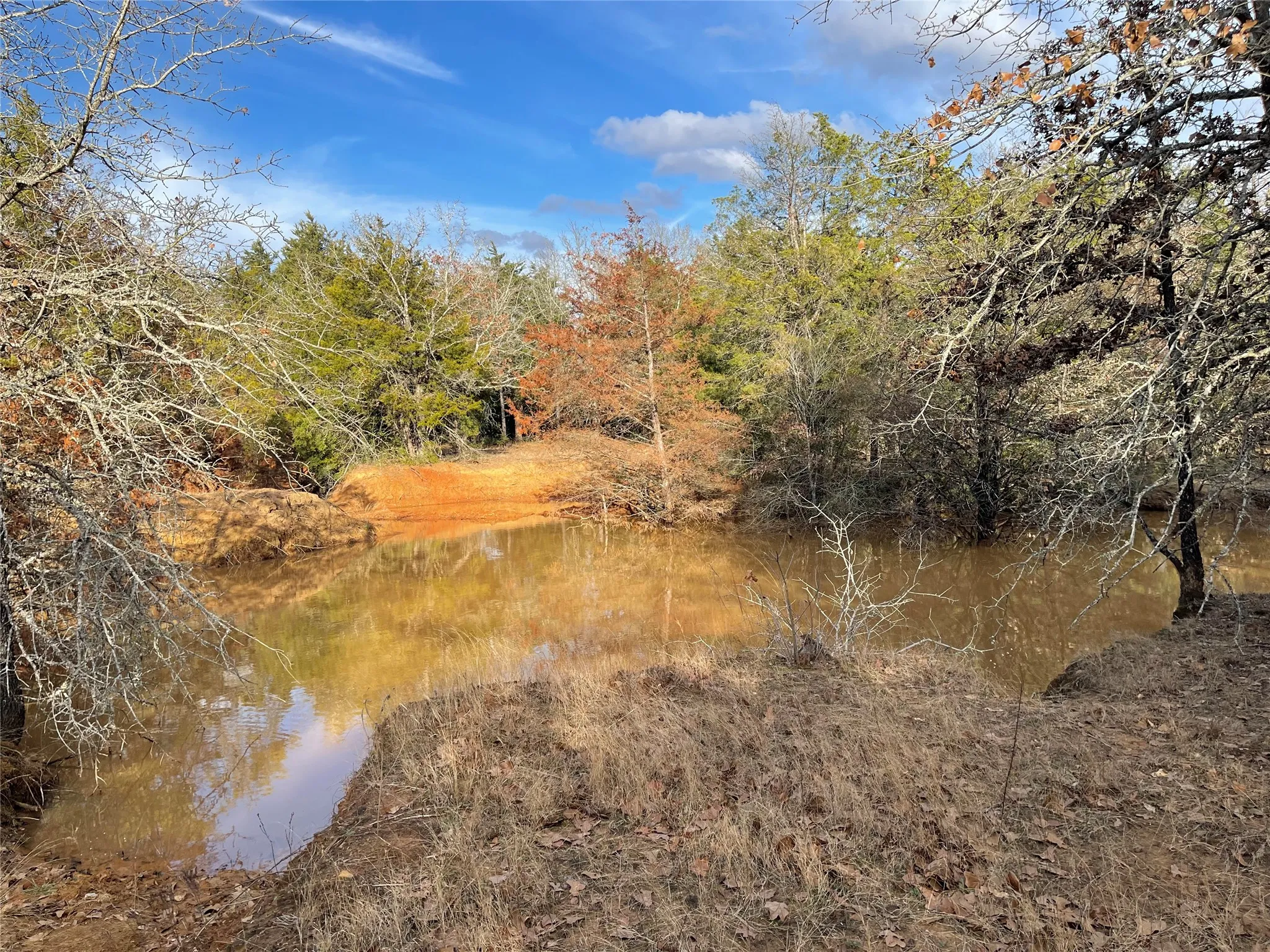 Improved Land For Sale in Freestone County , 210 FCR 521, Fairfield, Texas 75840, 0, 0, Garage spaces, 0 Sqft, built in 1950, mls#21183576, Real Estate Agent in Fairfield, Homes For Sale in Freestone county, Homes For Sale in Fairfield, Realtor in Fairfield Texas, Real Estate Brokerage Independent Realty Texas, Luminita Cordes Realtor