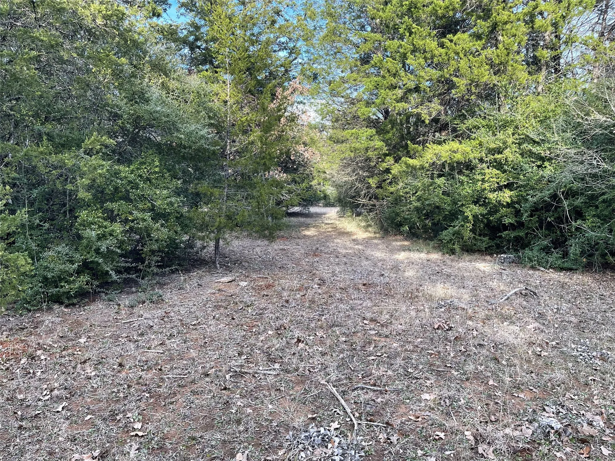 Improved Land For Sale in Freestone County , 210 FCR 521, Fairfield, Texas 75840, 0, 0, Garage spaces, 0 Sqft, built in 1950, mls#21183576, Real Estate Agent in Fairfield, Homes For Sale in Freestone county, Homes For Sale in Fairfield, Realtor in Fairfield Texas, Real Estate Brokerage Independent Realty Texas, Luminita Cordes Realtor