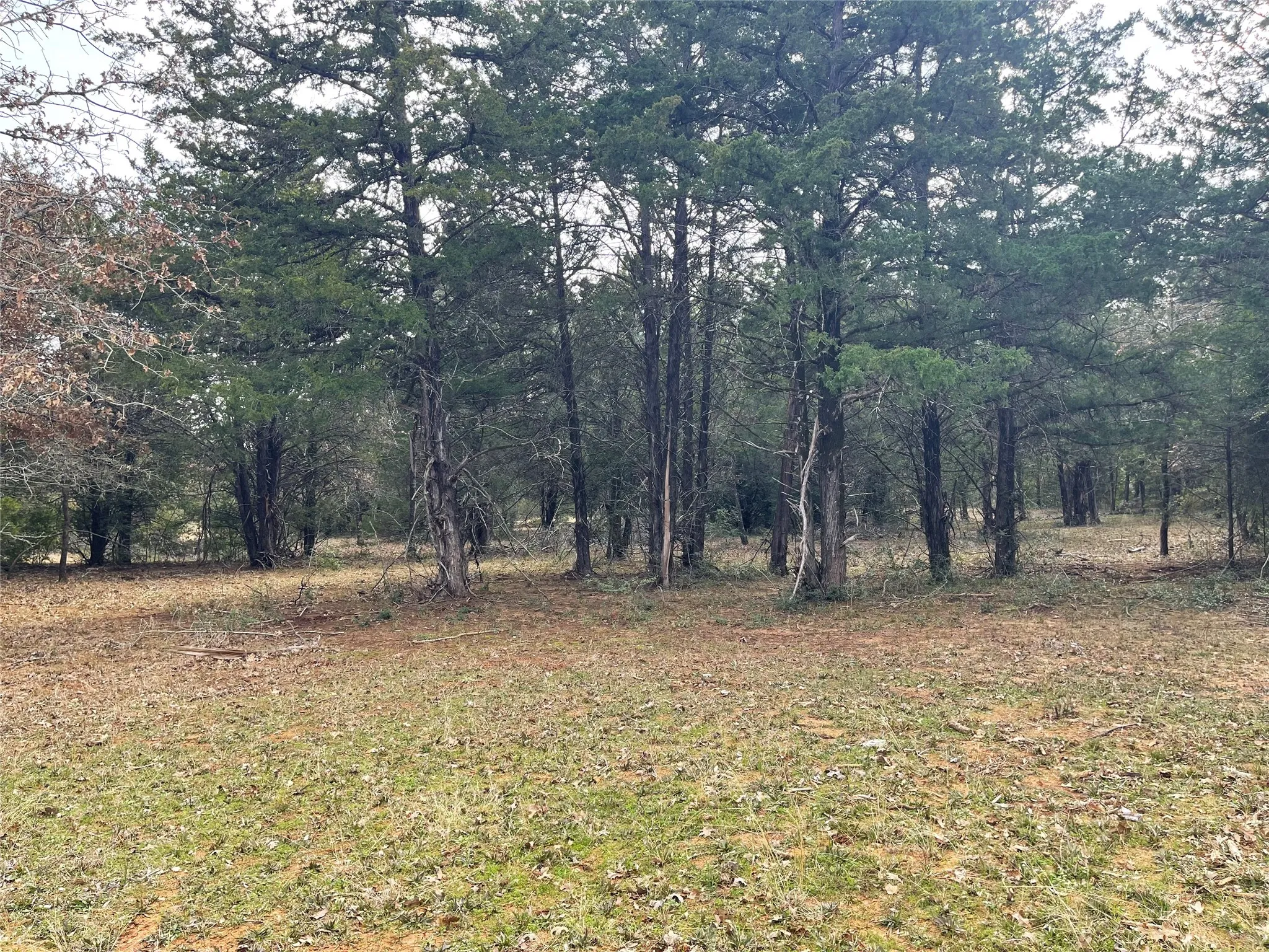 Improved Land For Sale in Freestone County , 210 FCR 521, Fairfield, Texas 75840, 0, 0, Garage spaces, 0 Sqft, built in 1950, mls#21183576, Real Estate Agent in Fairfield, Homes For Sale in Freestone county, Homes For Sale in Fairfield, Realtor in Fairfield Texas, Real Estate Brokerage Independent Realty Texas, Luminita Cordes Realtor