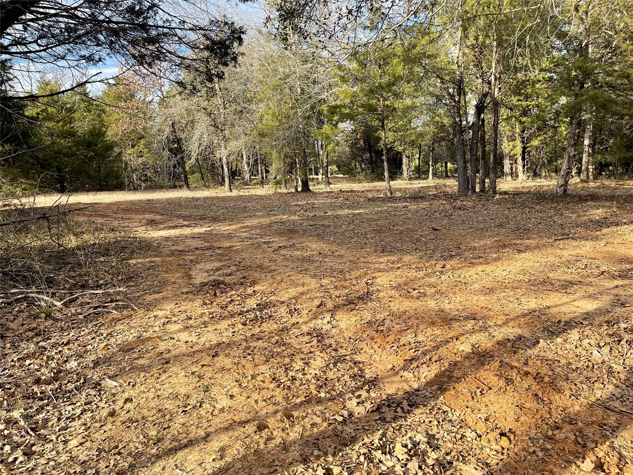 Improved Land For Sale in Freestone County , 210 FCR 521, Fairfield, Texas 75840, 0, 0, Garage spaces, 0 Sqft, built in 1950, mls#21183576, Real Estate Agent in Fairfield, Homes For Sale in Freestone county, Homes For Sale in Fairfield, Realtor in Fairfield Texas, Real Estate Brokerage Independent Realty Texas, Luminita Cordes Realtor