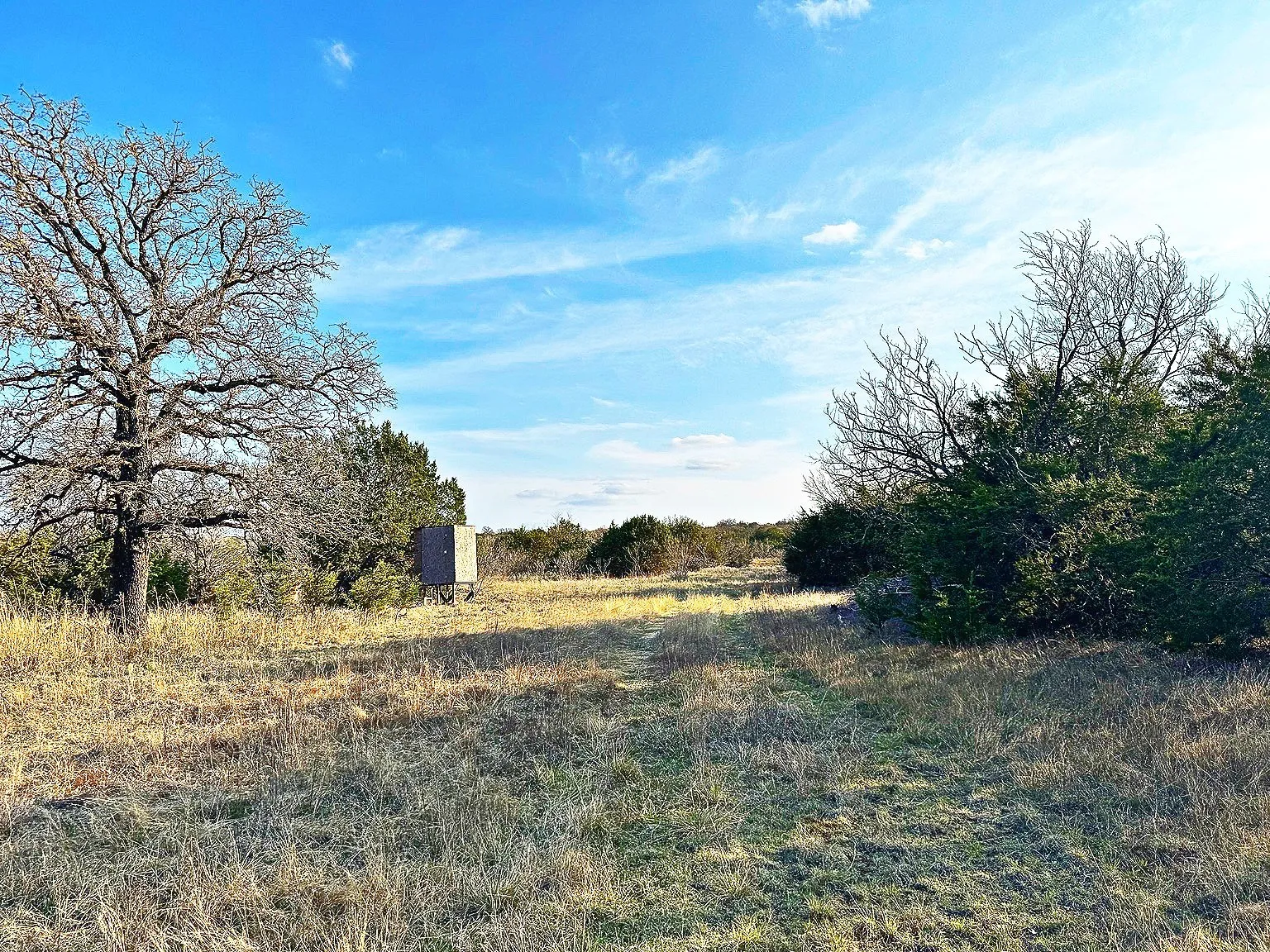 Unimproved Land For Sale in Erath County , 16061 County Road 107, Mingus, Texas 76463, 0, 0, Garage spaces, 0 Sqft, built in 2005, Price $424,999, mls#21186697, Real Estate Agent in Mingus, Homes For Sale in Erath county, Homes For Sale in Mingus, Realtor in Mingus Texas, Real Estate Brokerage Independent Realty Texas, Luminita Cordes Realtor