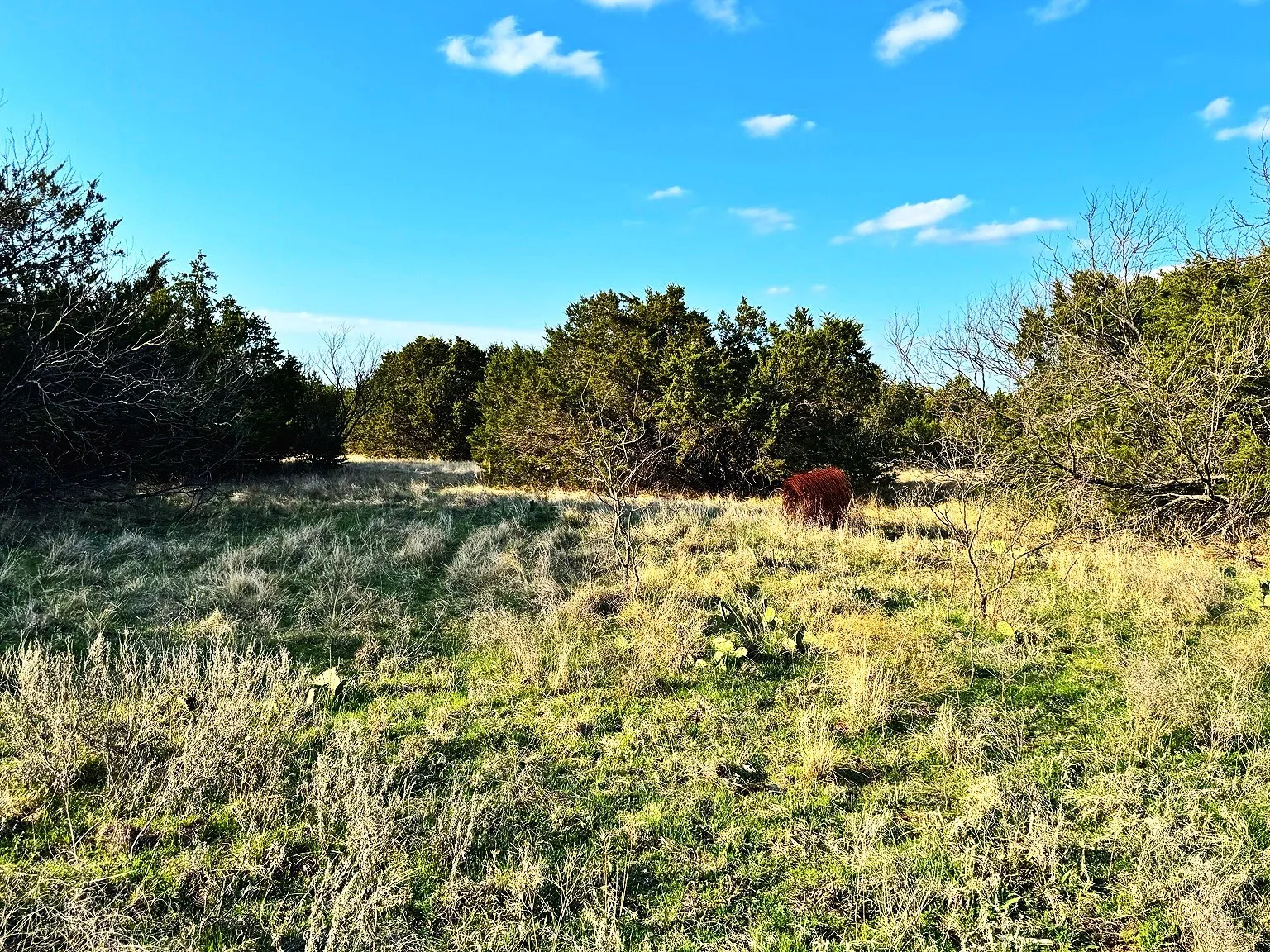 View of nature featuring rural landscape
