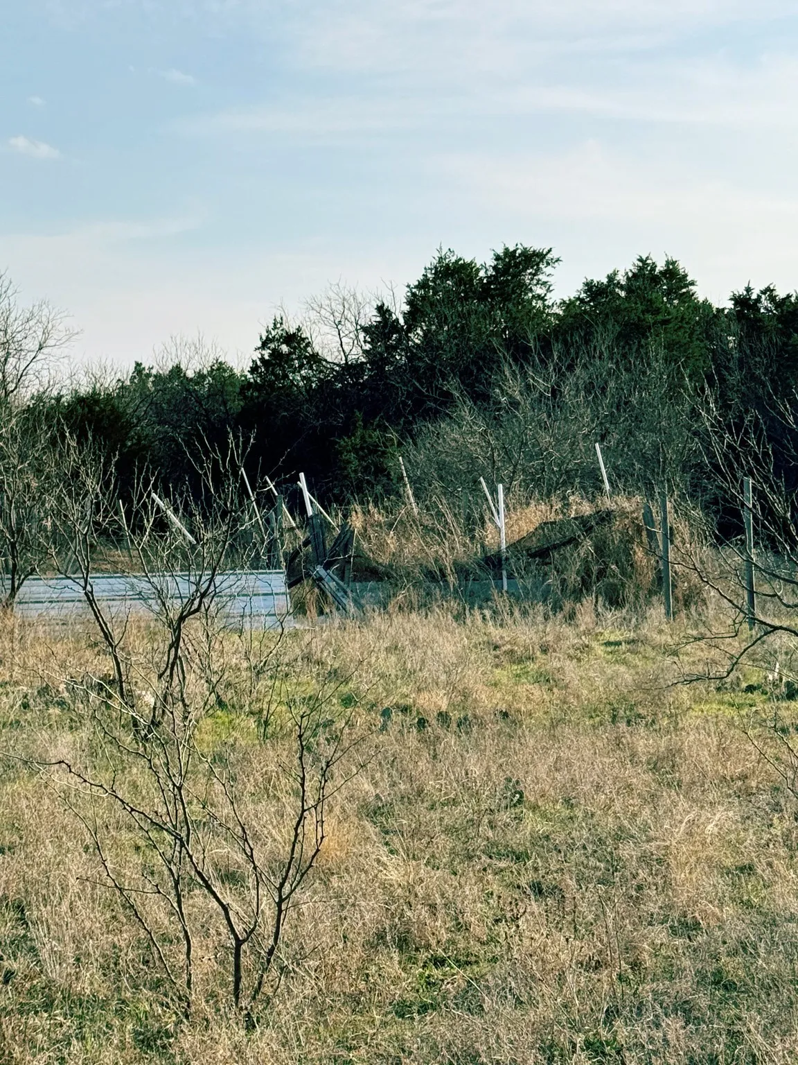 Unimproved Land For Sale in Erath County , 16061 County Road 107, Mingus, Texas 76463, 0, 0, Garage spaces, 0 Sqft, built in 2005, Price $424,999, mls#21186697, Real Estate Agent in Mingus, Homes For Sale in Erath county, Homes For Sale in Mingus, Realtor in Mingus Texas, Real Estate Brokerage Independent Realty Texas, Luminita Cordes Realtor