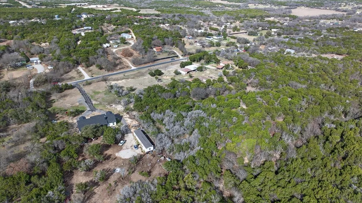 Bird's eye view of a forest