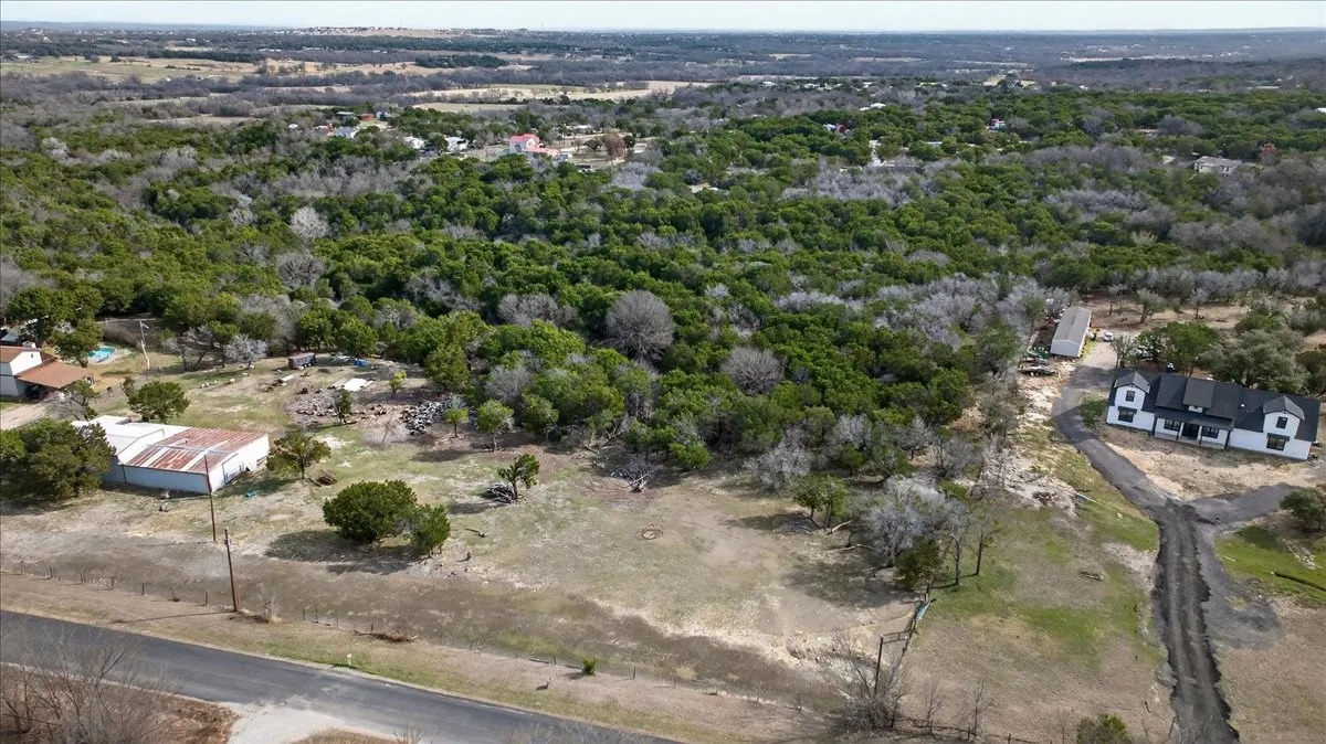 Bird's eye view of a forest