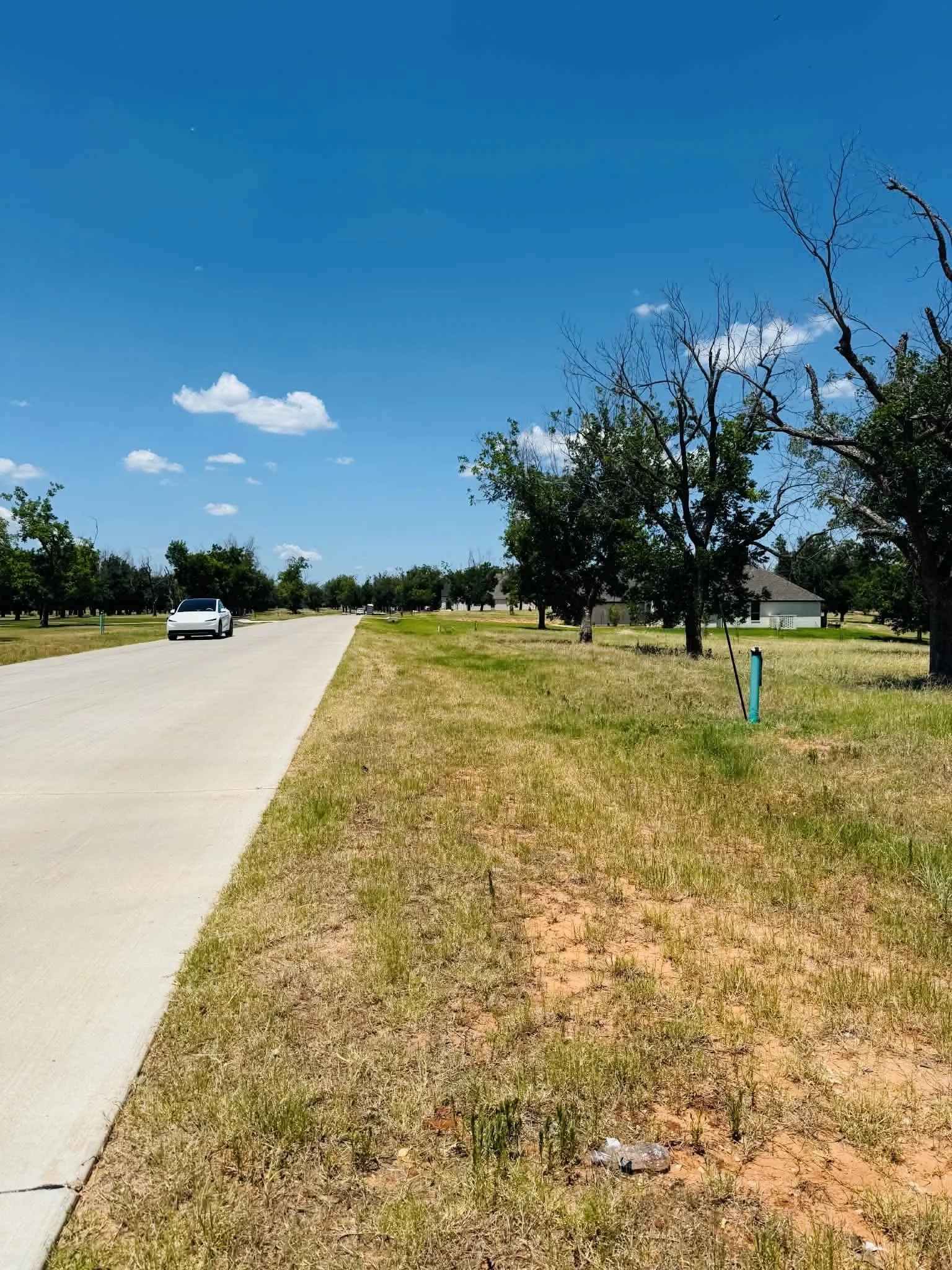 Paved road with adjacent undeveloped land featuring scattered mature trees