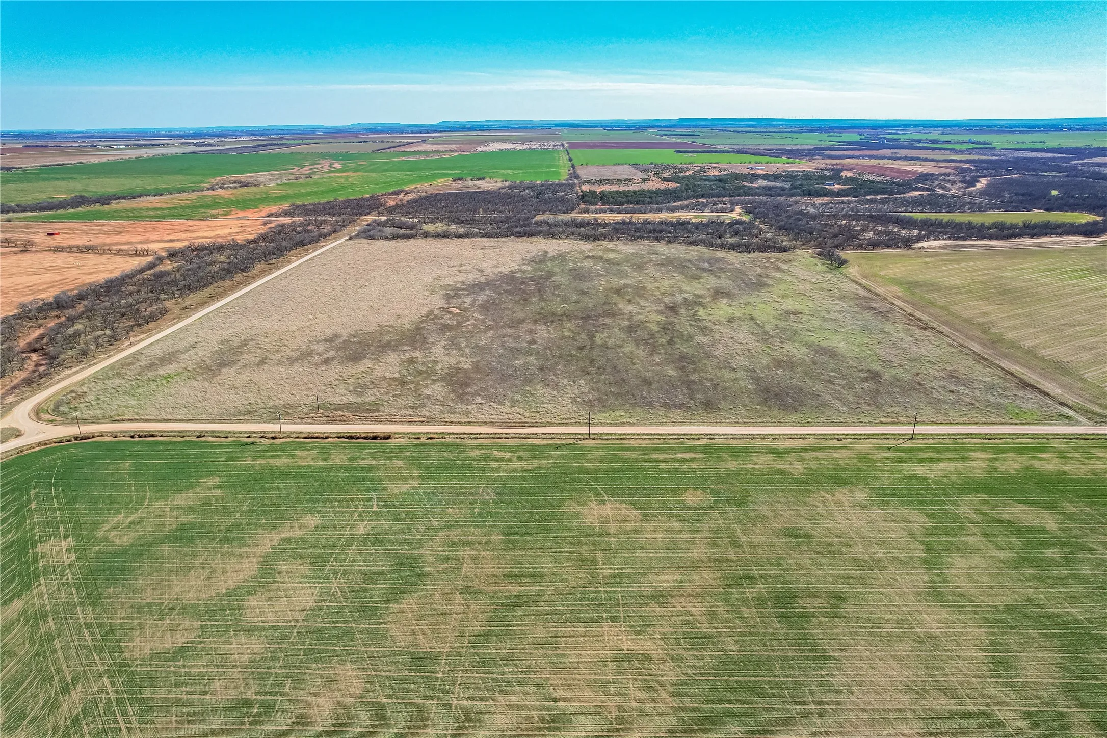 Ranch For Sale in Jones County , TBD CR 432, Merkel, Texas 79536, 0, 0, Garage spaces, 0 Sqft, built in 0, mls#21187093, Real Estate Agent in Merkel, Homes For Sale in Jones county, Homes For Sale in Merkel, Realtor in Merkel Texas, Real Estate Brokerage Independent Realty Texas, Luminita Cordes Realtor