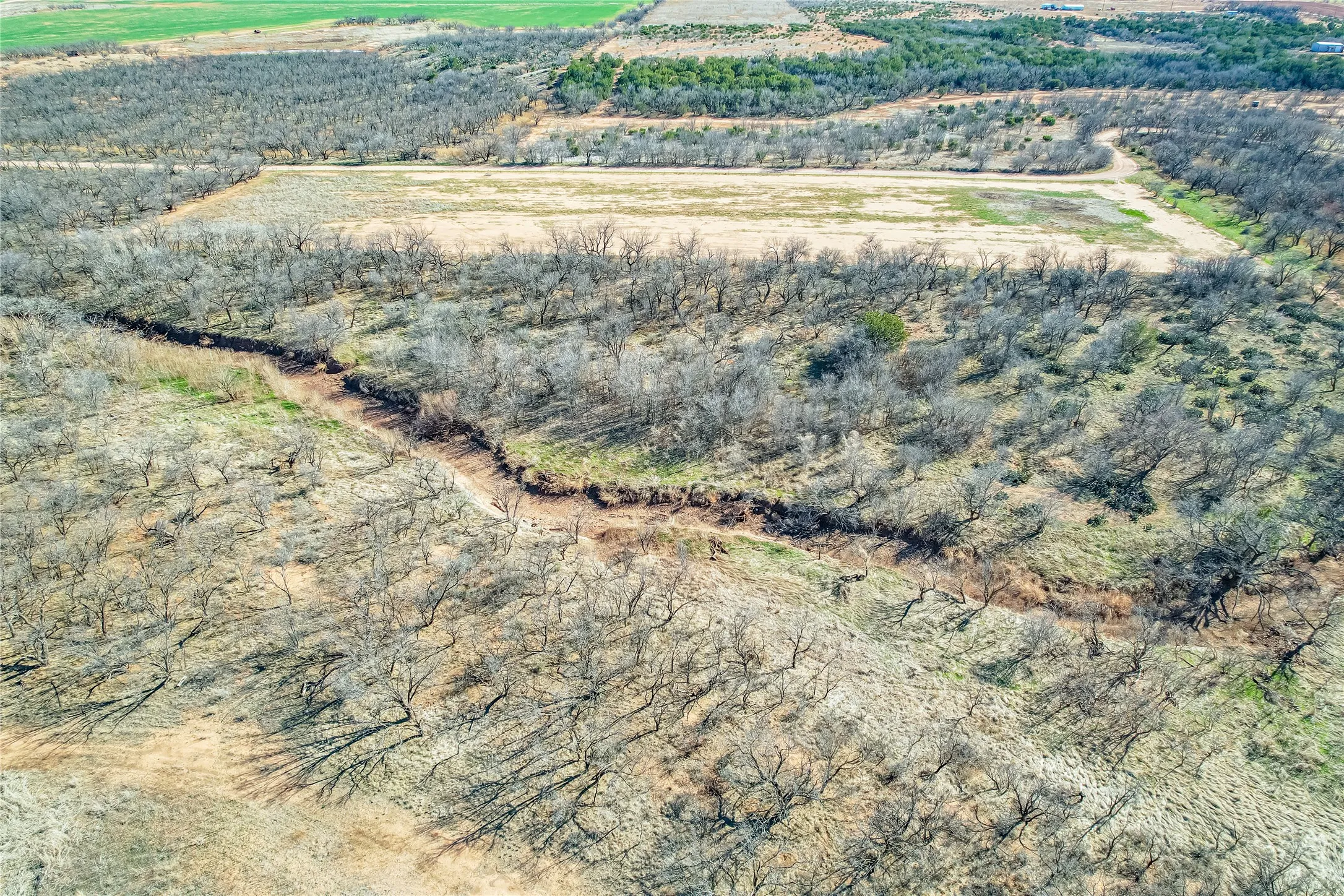 Ranch For Sale in Jones County , TBD CR 432, Merkel, Texas 79536, 0, 0, Garage spaces, 0 Sqft, built in 0, mls#21187093, Real Estate Agent in Merkel, Homes For Sale in Jones county, Homes For Sale in Merkel, Realtor in Merkel Texas, Real Estate Brokerage Independent Realty Texas, Luminita Cordes Realtor