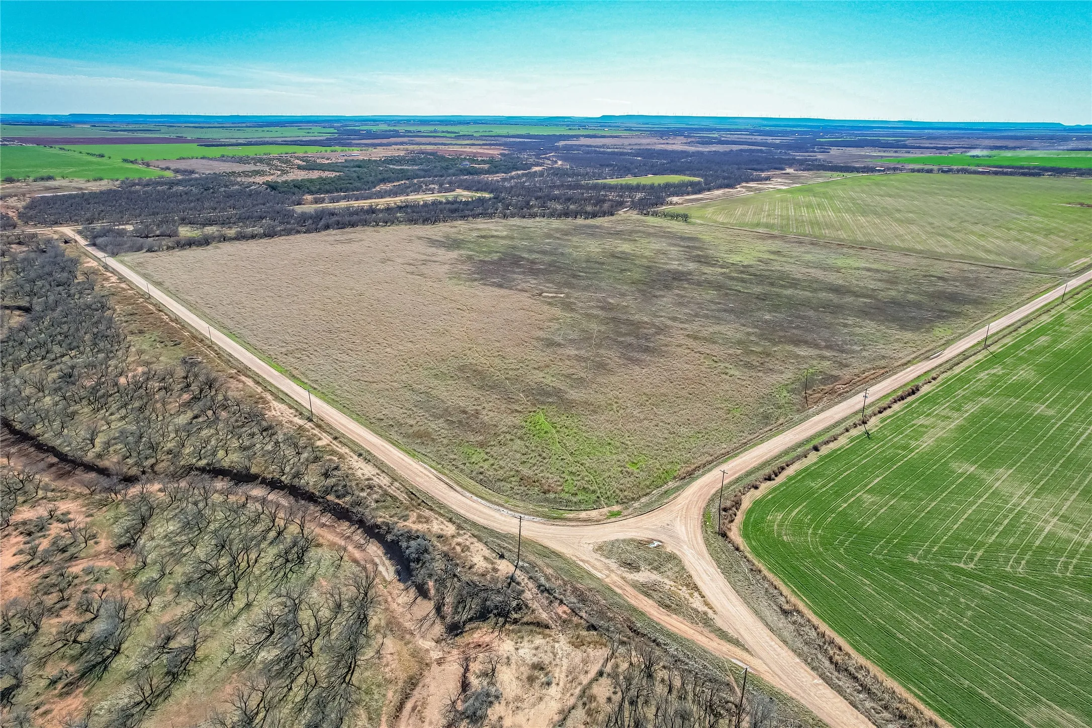 Ranch For Sale in Jones County , TBD CR 432, Merkel, Texas 79536, 0, 0, Garage spaces, 0 Sqft, built in 0, mls#21187093, Real Estate Agent in Merkel, Homes For Sale in Jones county, Homes For Sale in Merkel, Realtor in Merkel Texas, Real Estate Brokerage Independent Realty Texas, Luminita Cordes Realtor